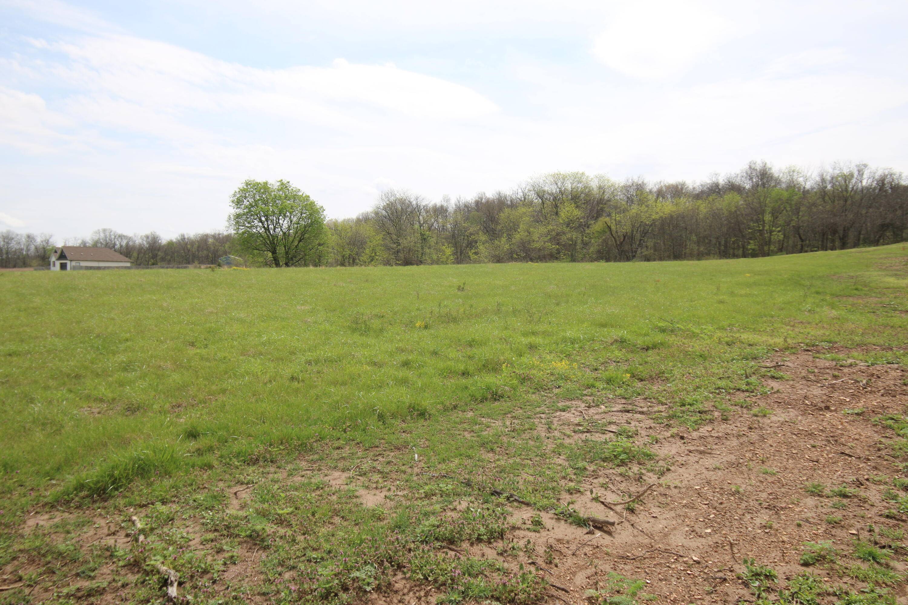 000 River Pass Drive DR #Lot 6 & 11, Marshfield, MO 65706