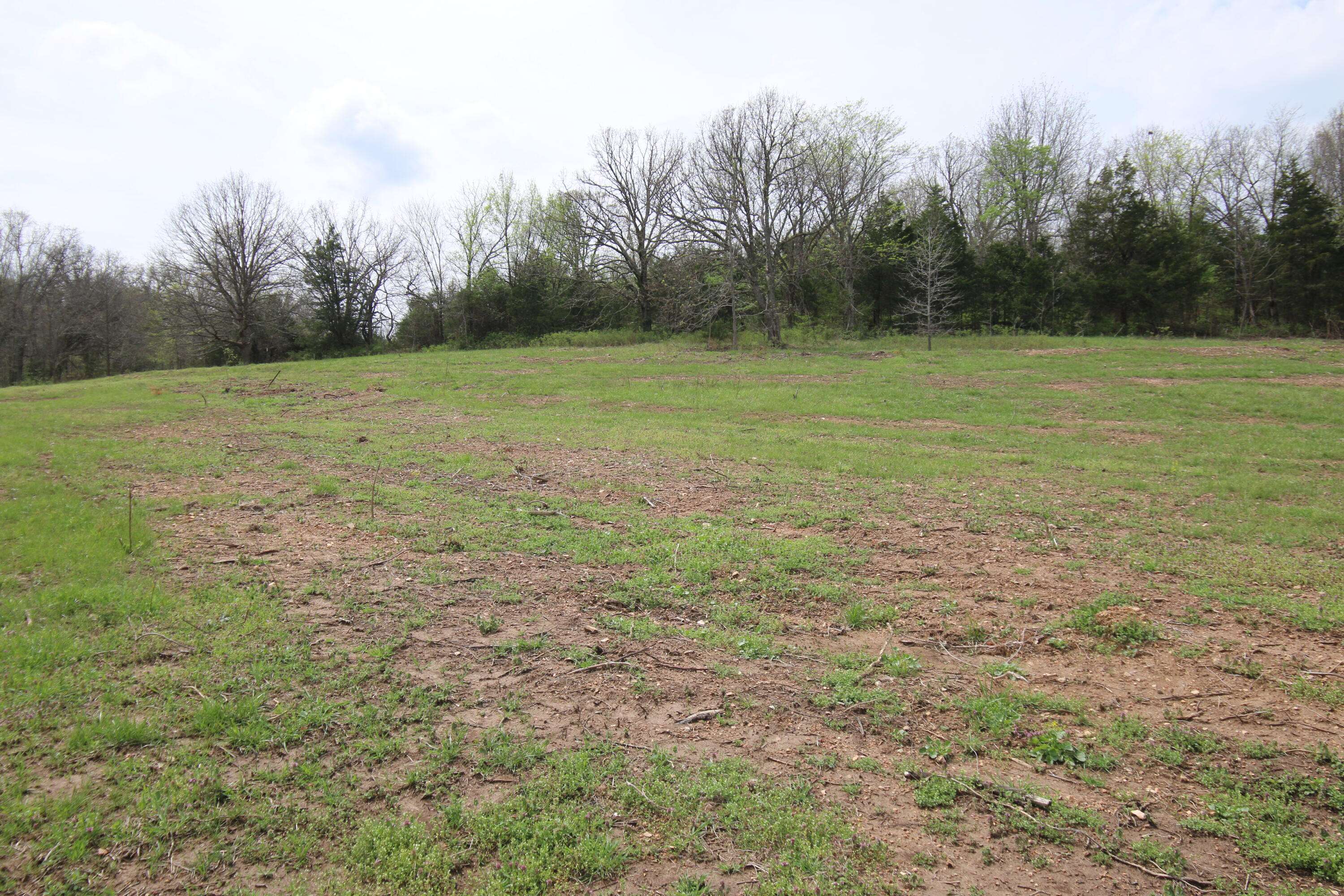000 River Pass Drive DR #Lot 6 & 11, Marshfield, MO 65706