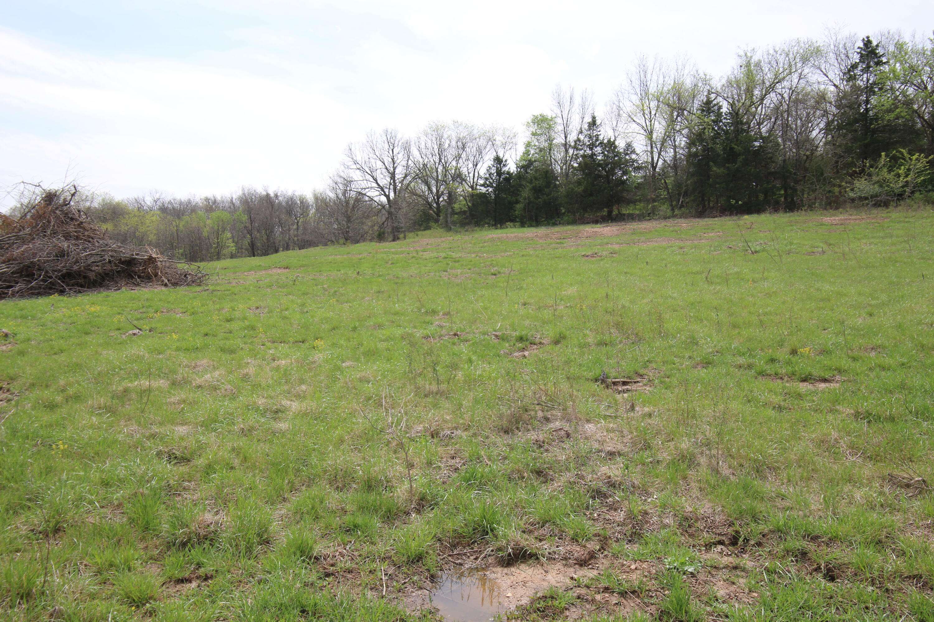 000 River Pass DR #Lot 6, Marshfield, MO 65706