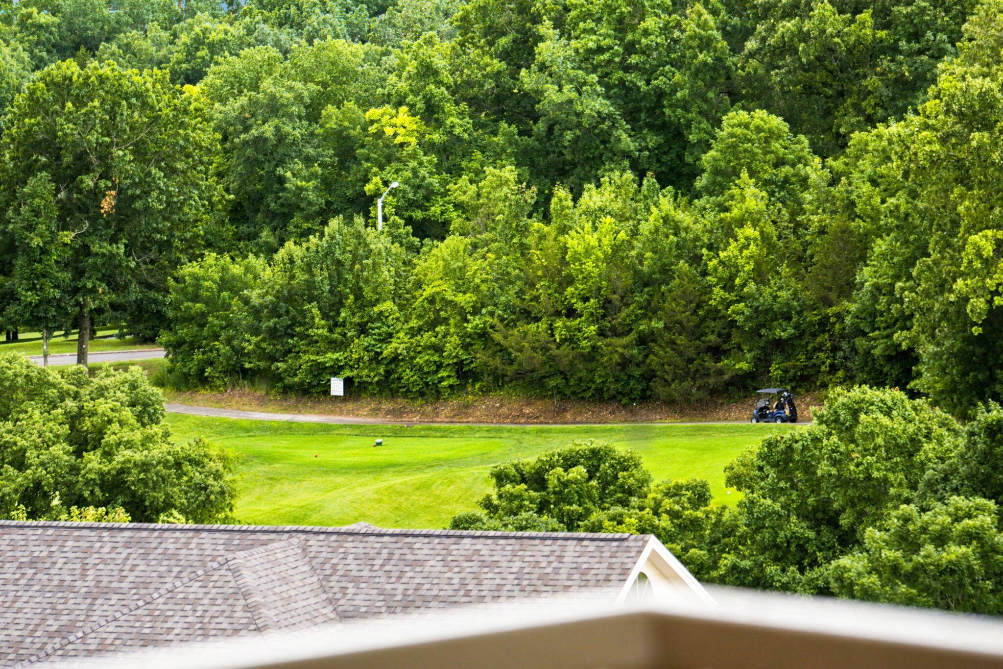 350 S Wildwood DR #13, Branson, MO 65616