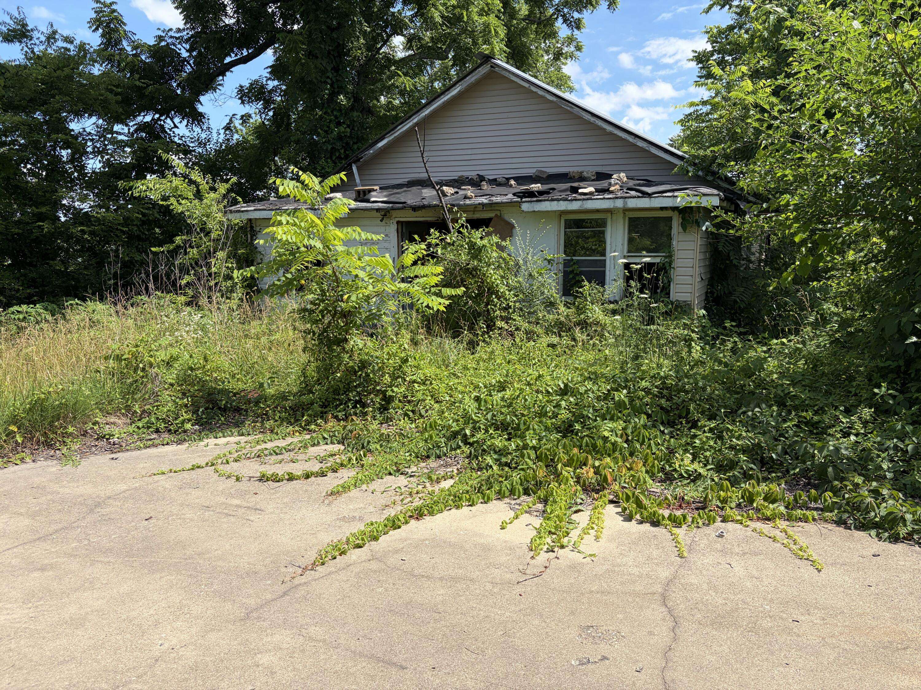 8804 Ward ST, Birch Tree, MO 65438