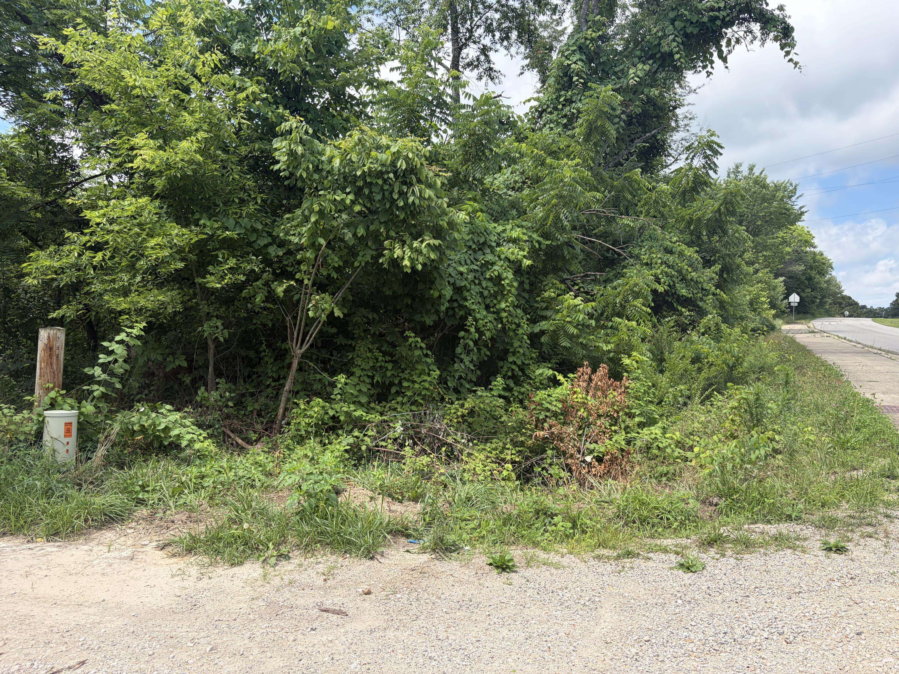 000 Ward ST, Birch Tree, MO 65438