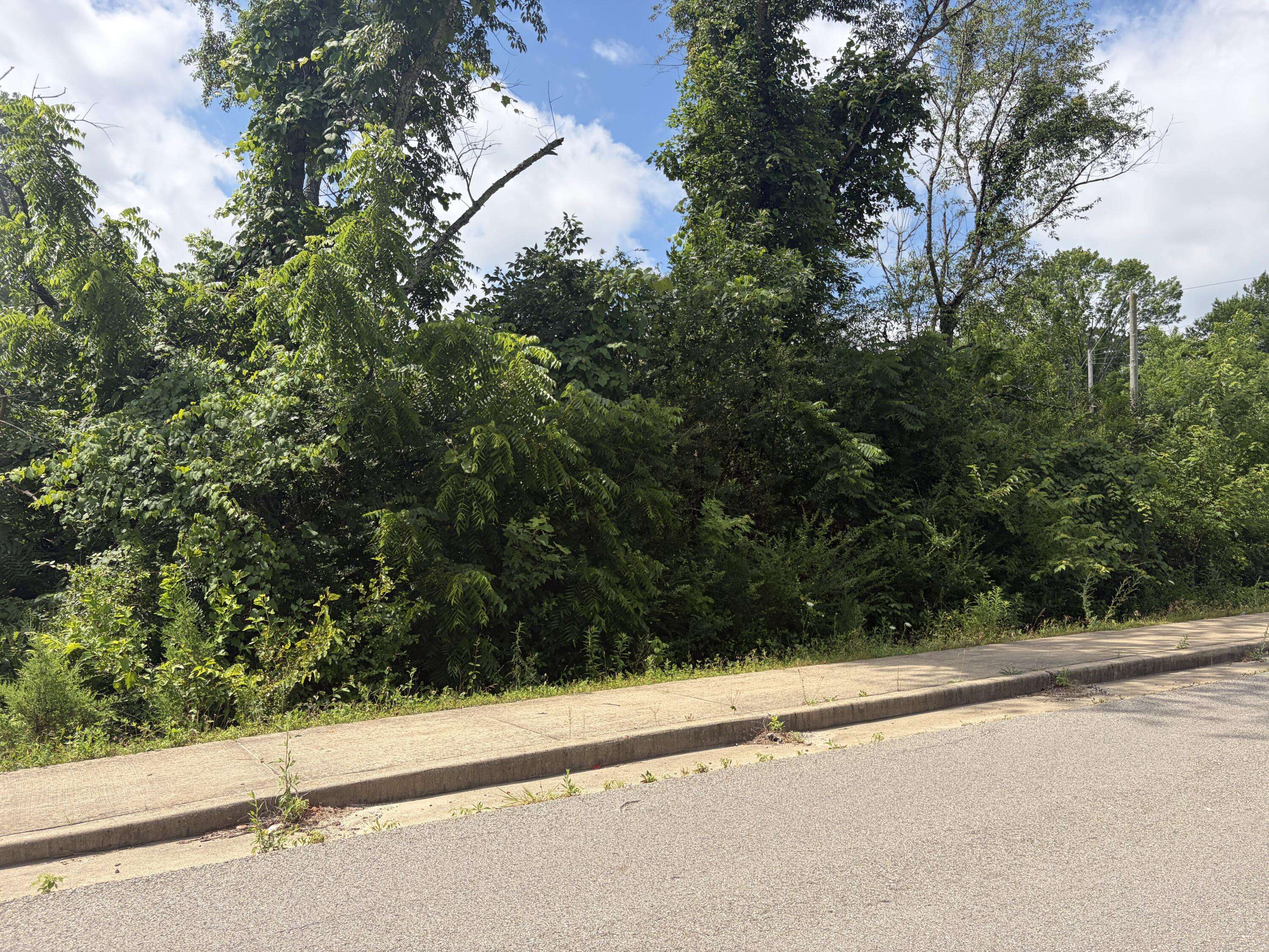 000 Ward ST, Birch Tree, MO 65438