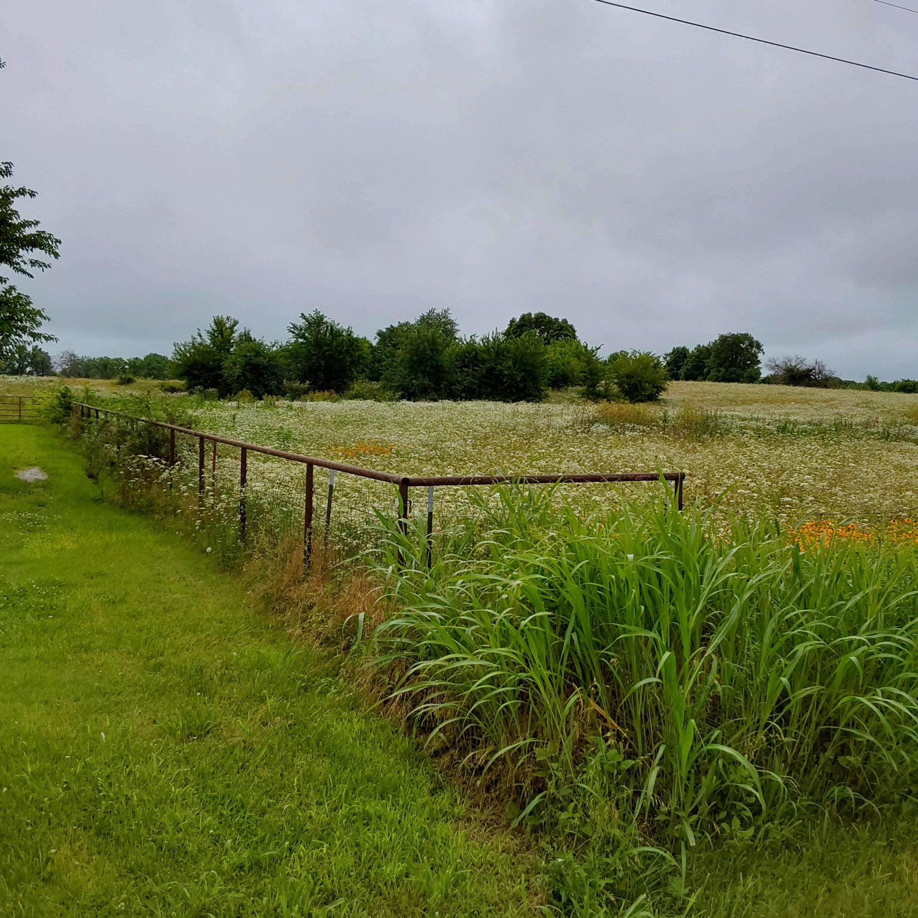 30647 Highway J, Wentworth, MO 64873