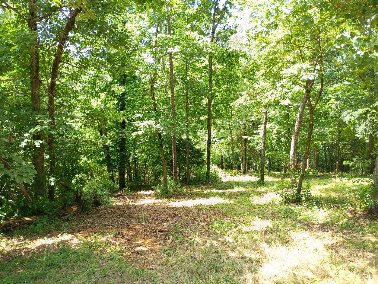 5161 State Highway H, Noel, MO 64854