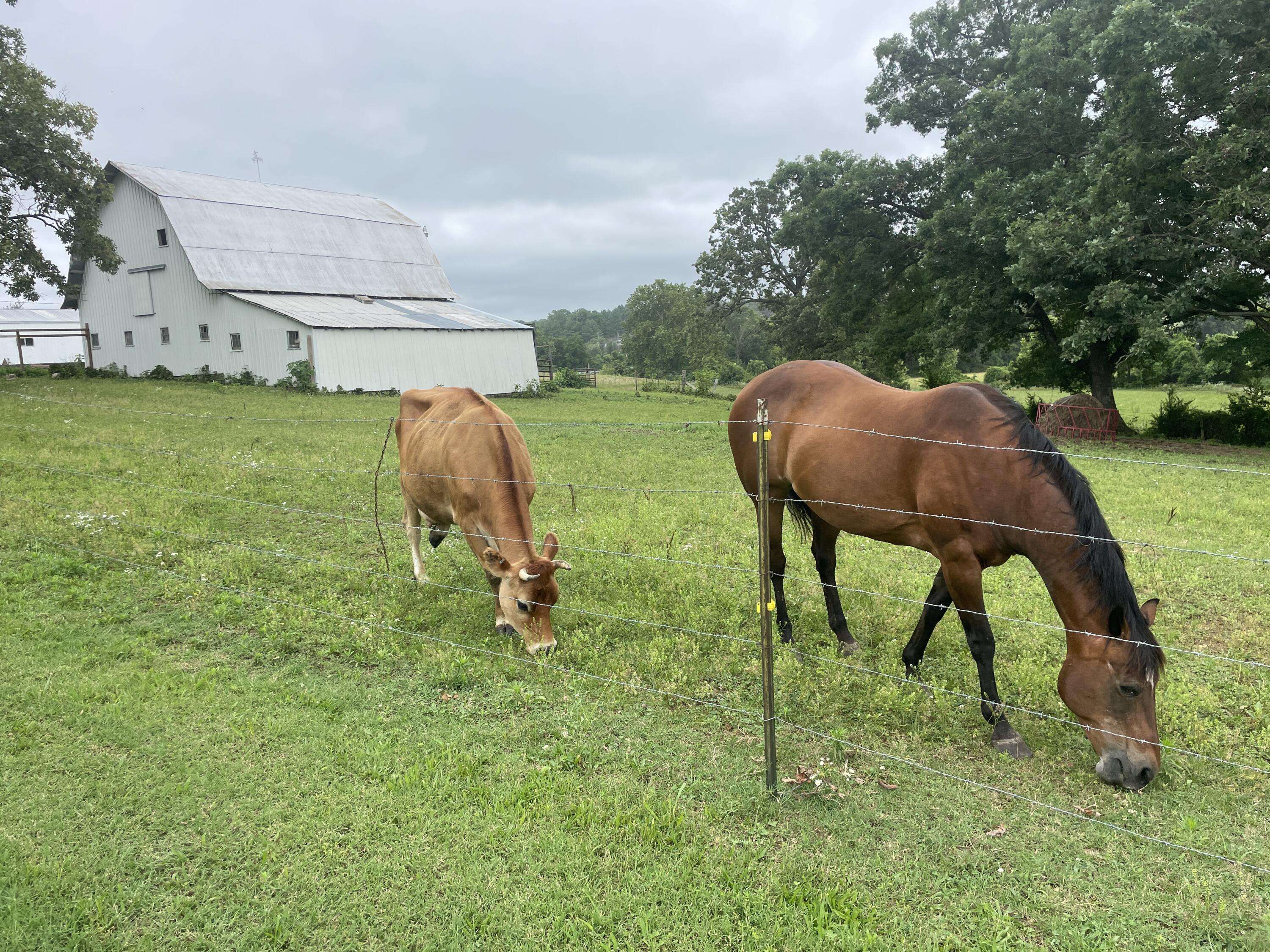 1107 Lower Ford RD, Ava, MO 65608