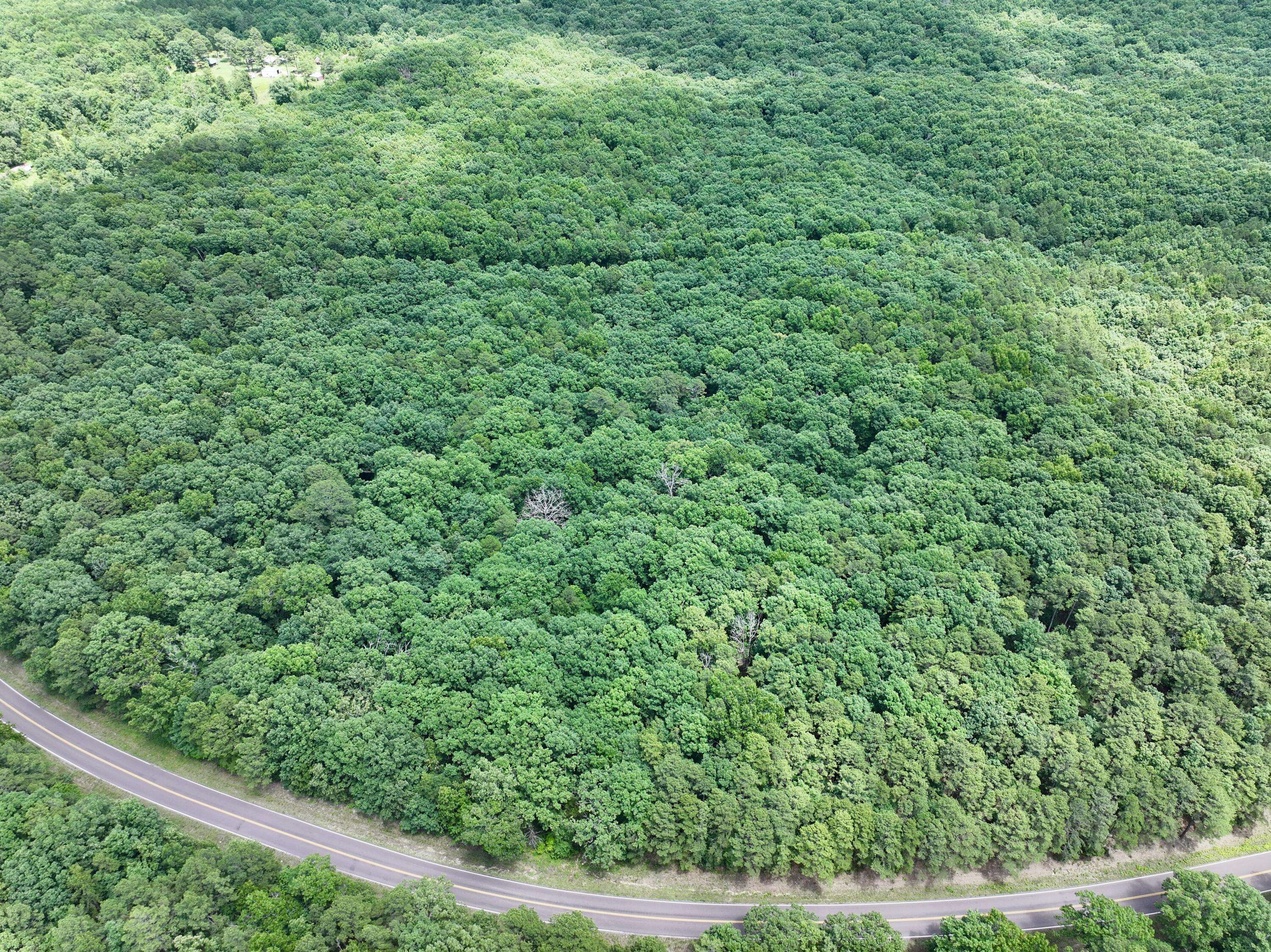 000 Forest Service Road, Birch Tree, MO 65438