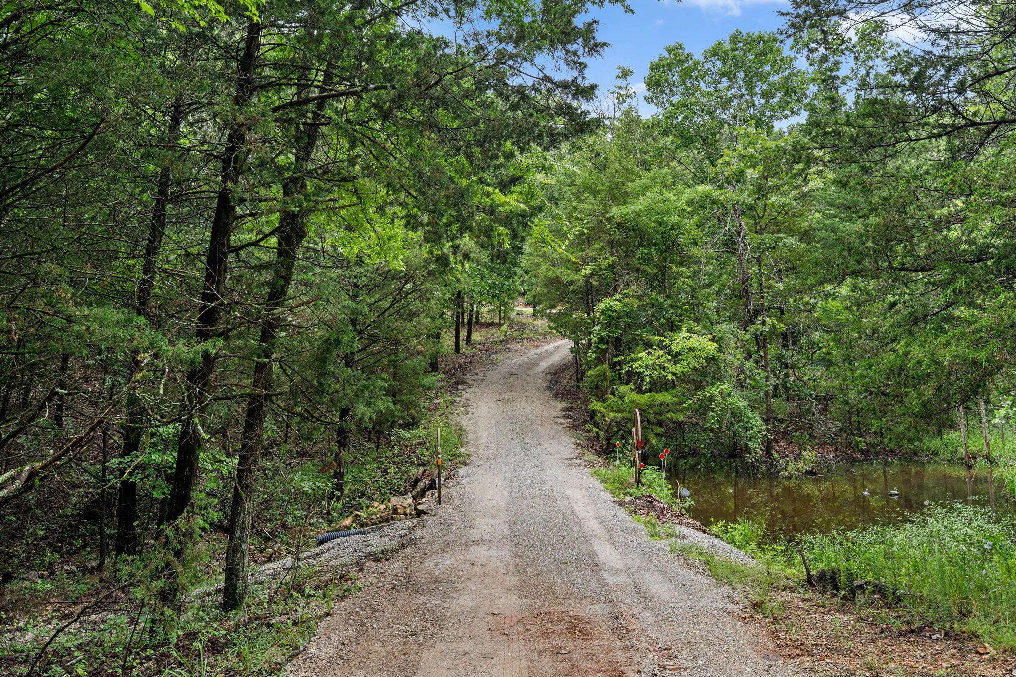 2115 Garrison Cutoff RD, Taneyville, MO 65759