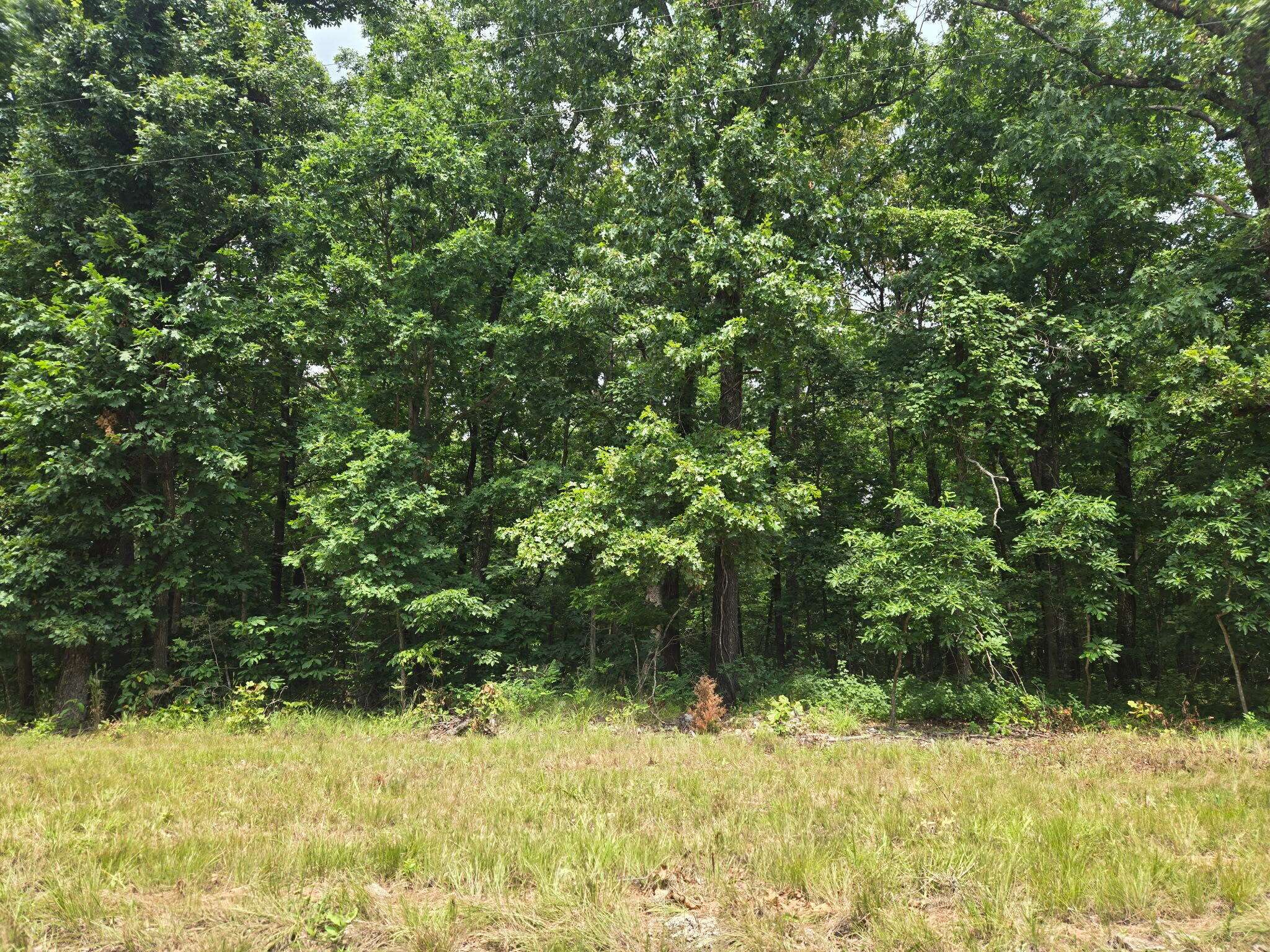001 Muleshoe TRL, Elkland, MO 65644