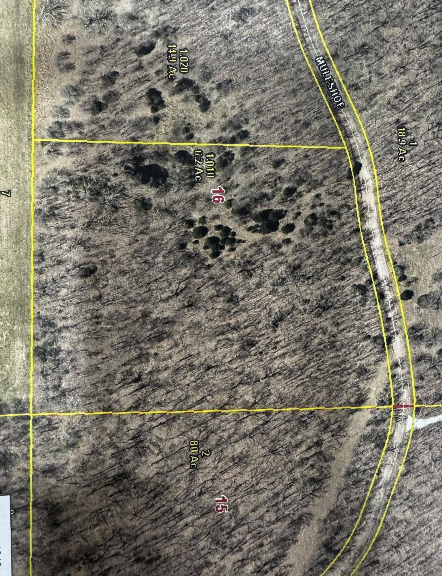 002 Muleshoe TRL #002, Elkland, MO 65644