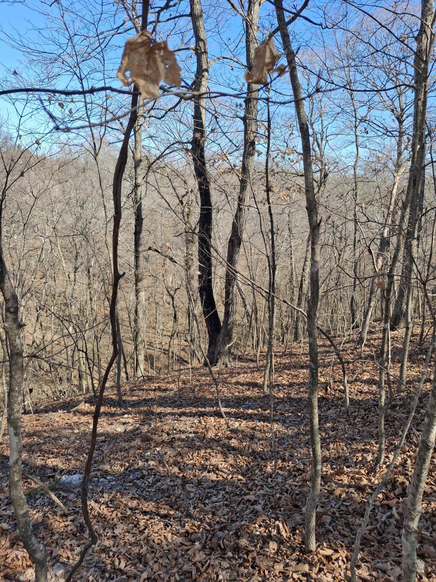 6237 Hunters Glen RD, Seligman, MO 65745