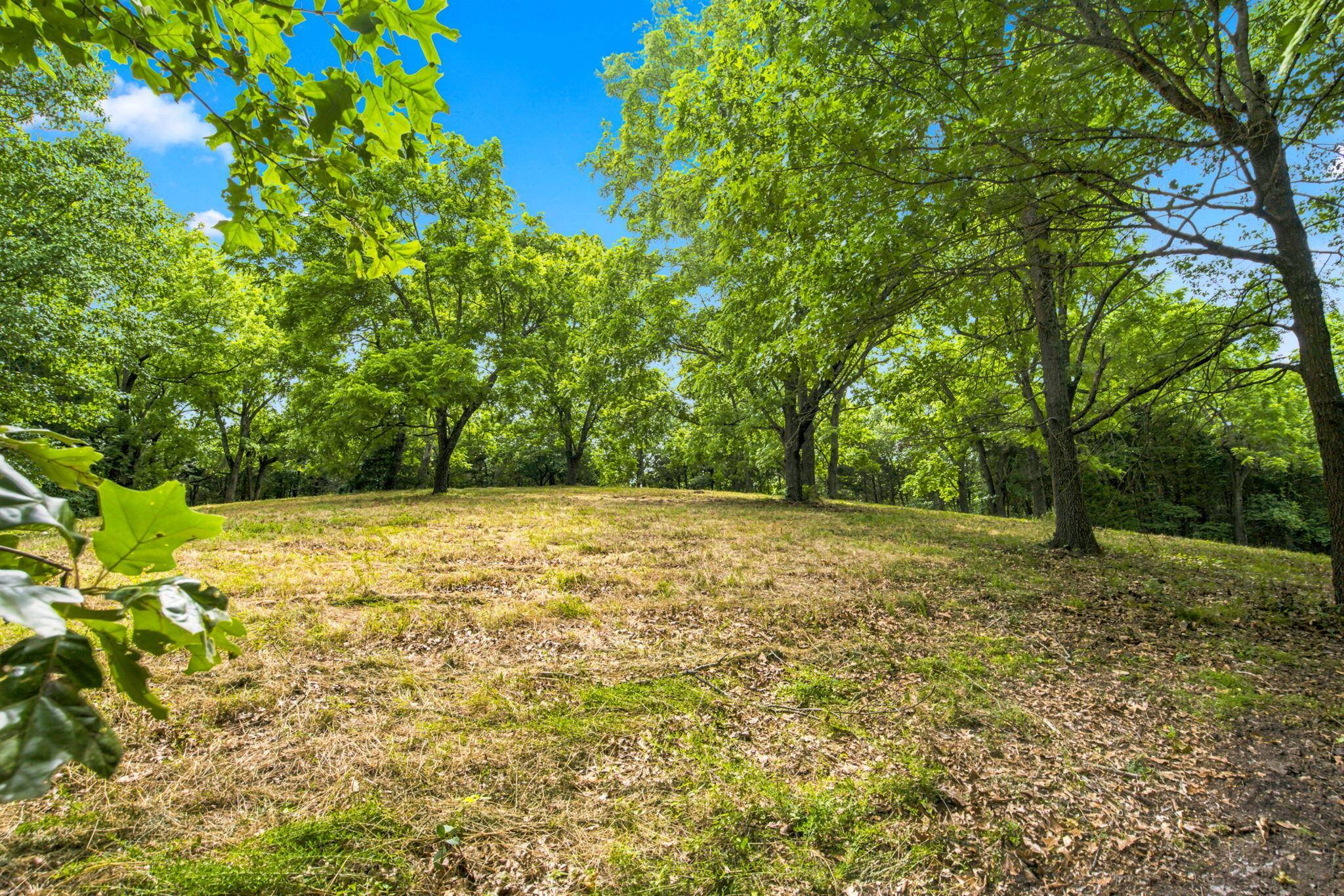 Lot 12f Kingsgate RD, Lampe, MO 65681