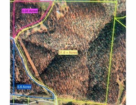 519 Trent (Tract 7 - 8.35 Acres) RD, Washburn, MO 65772