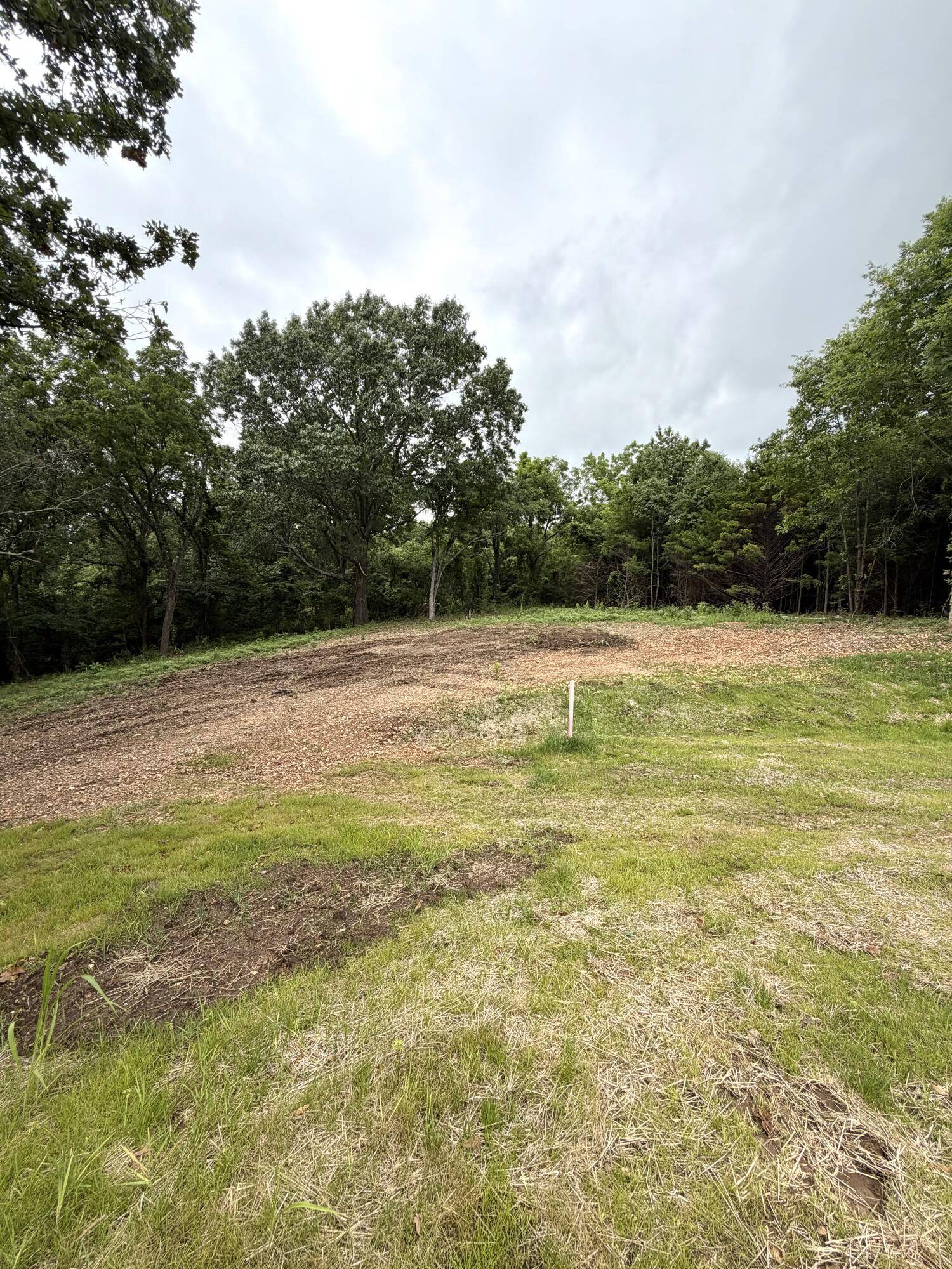 Lot 12 Hanging Branch, Cape Fair, MO 65624