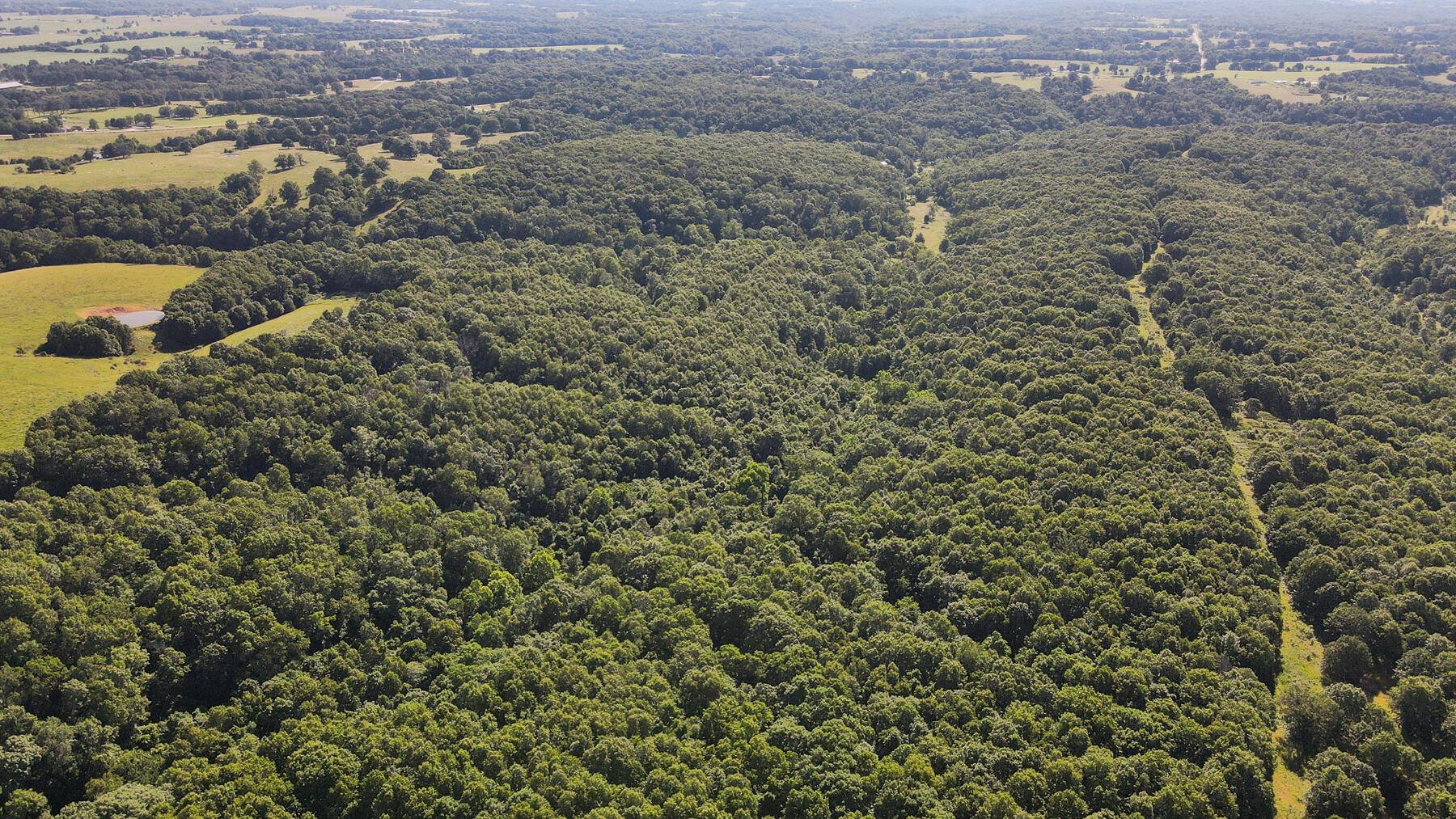 000 Private Drive Off Of Fr 1245, Aurora, MO 65605