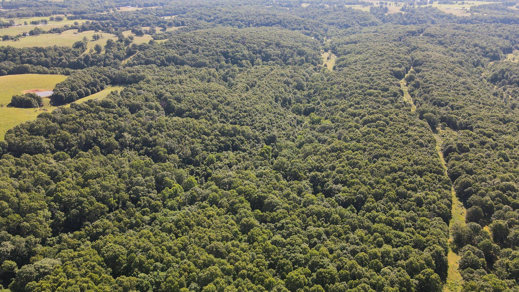 000 Private Drive Off Of Fr 1245, Aurora, MO 65605