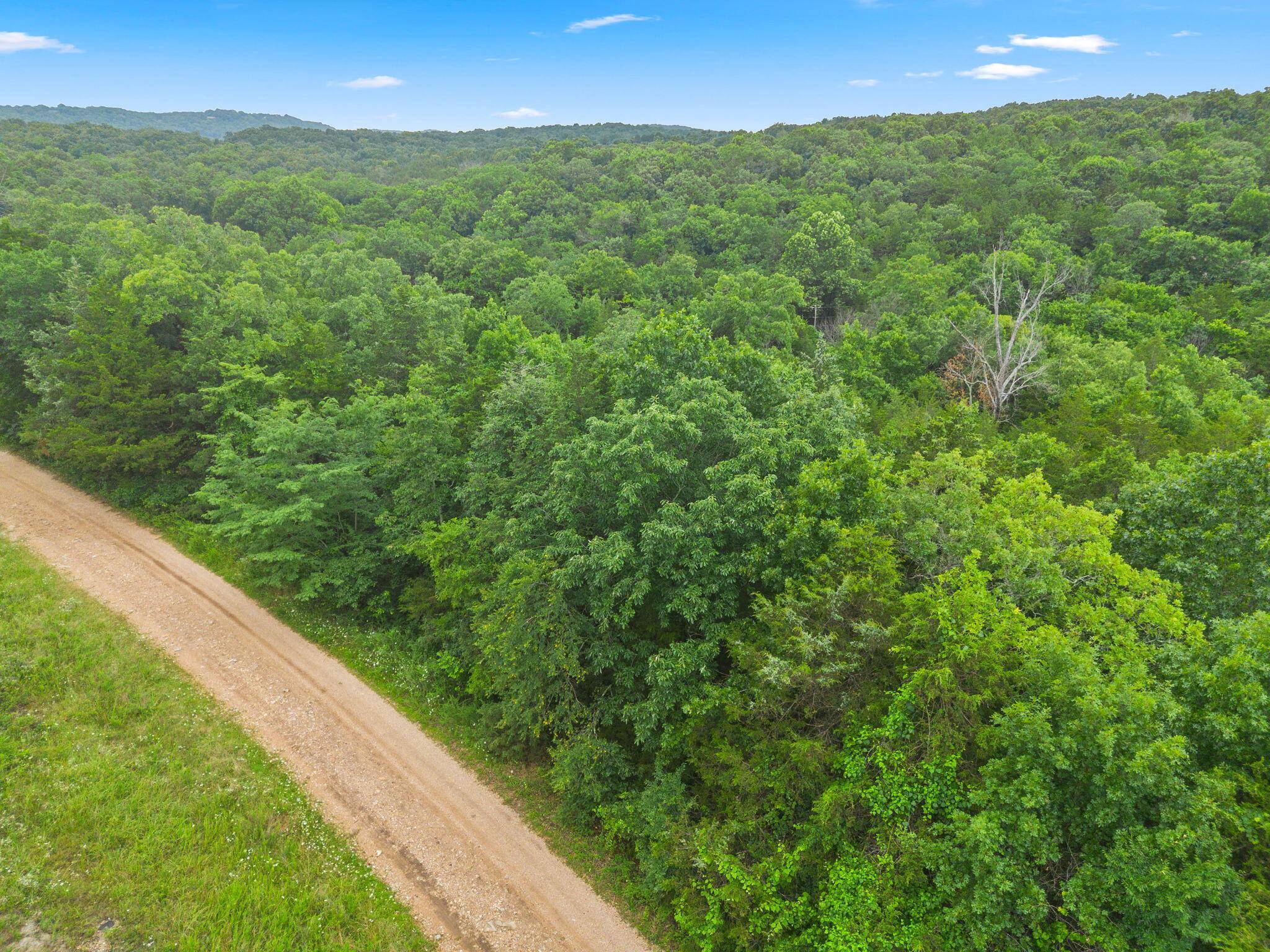 Lot 23 Cedar Reef, Lampe, MO 65681