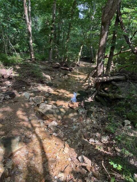Tbd County Road 272, Vanzant, MO 65768