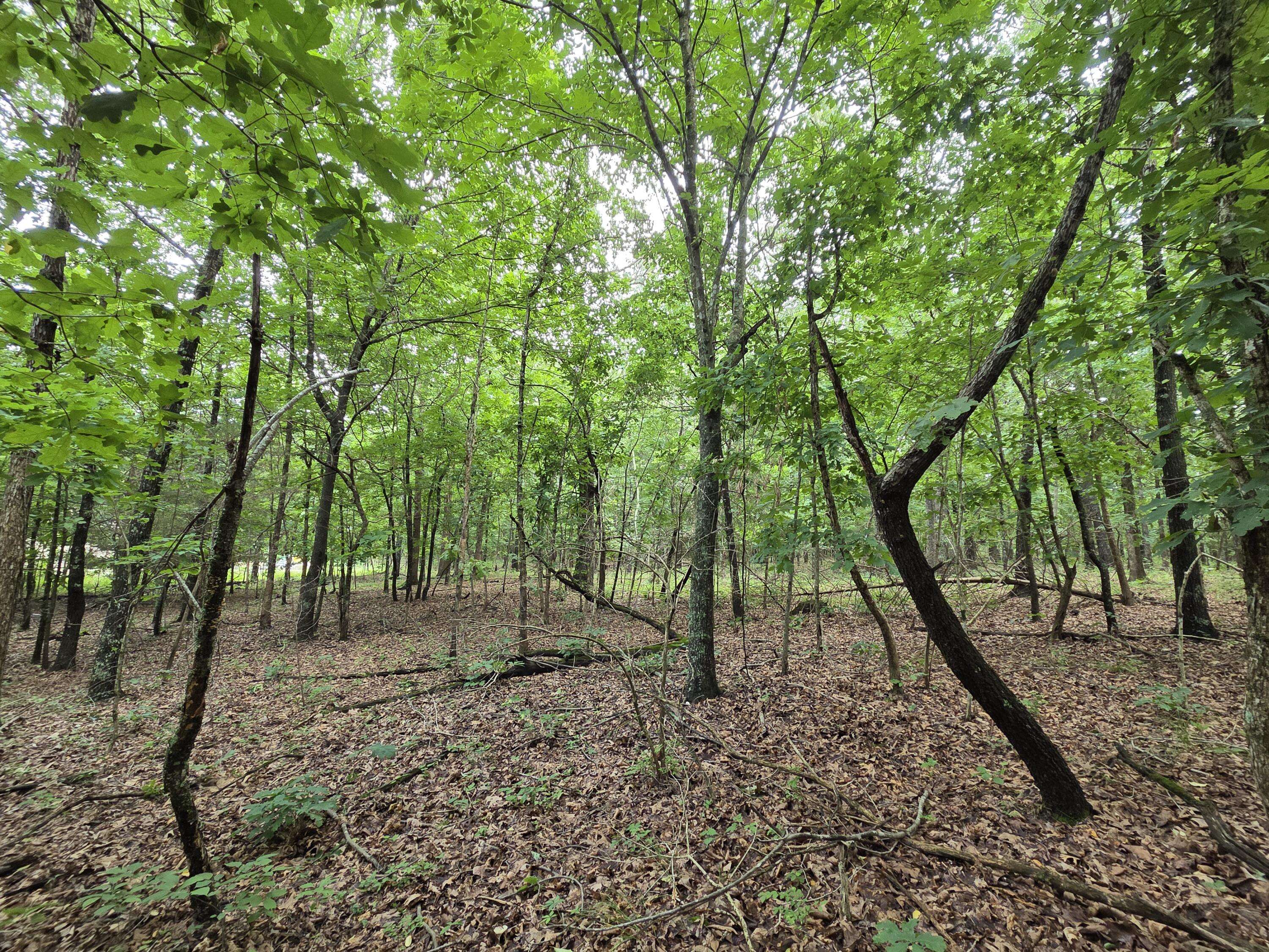 000 Golf Course RD, Marshfield, MO 65706