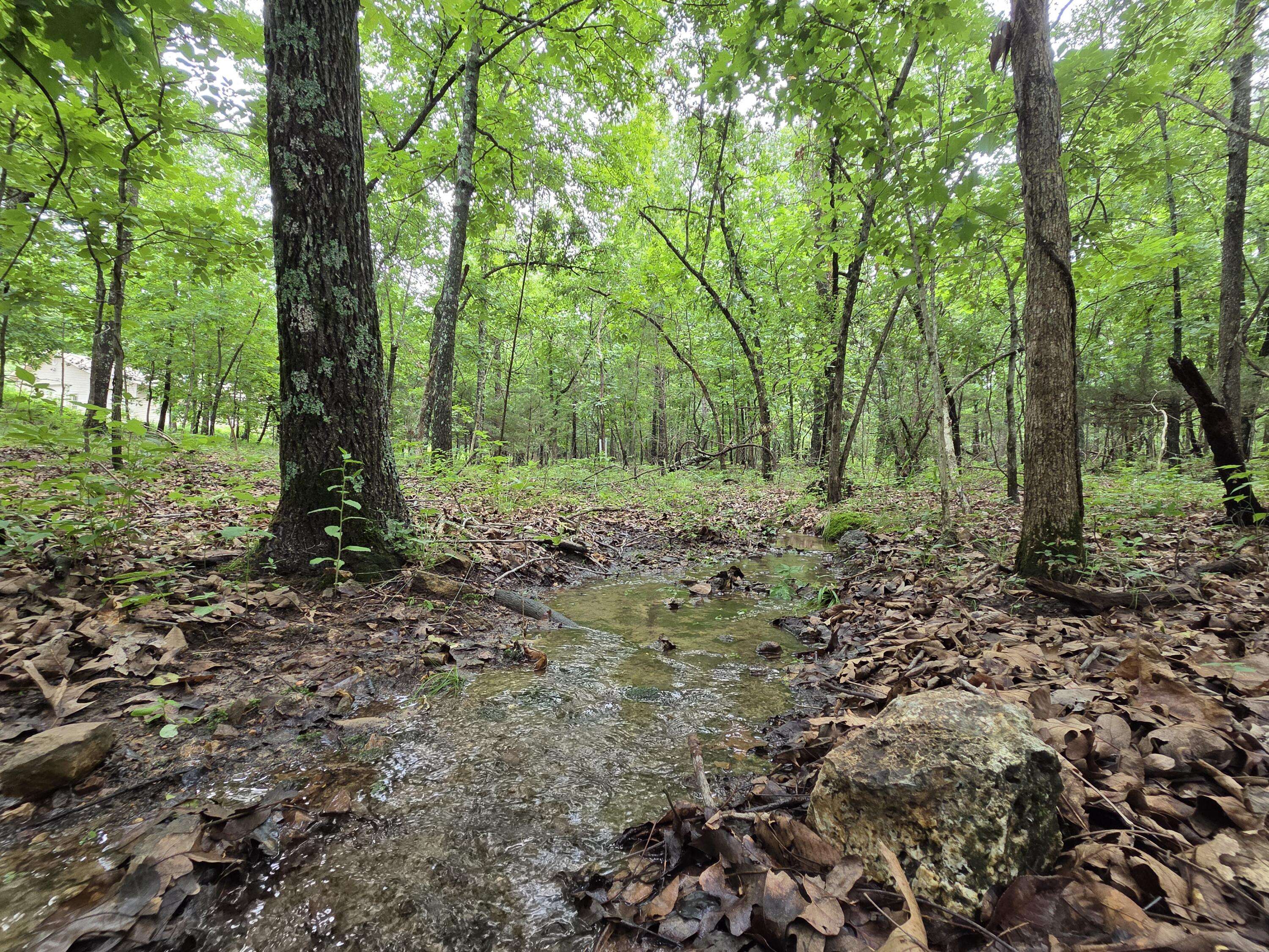 000 Golf Course RD, Marshfield, MO 65706