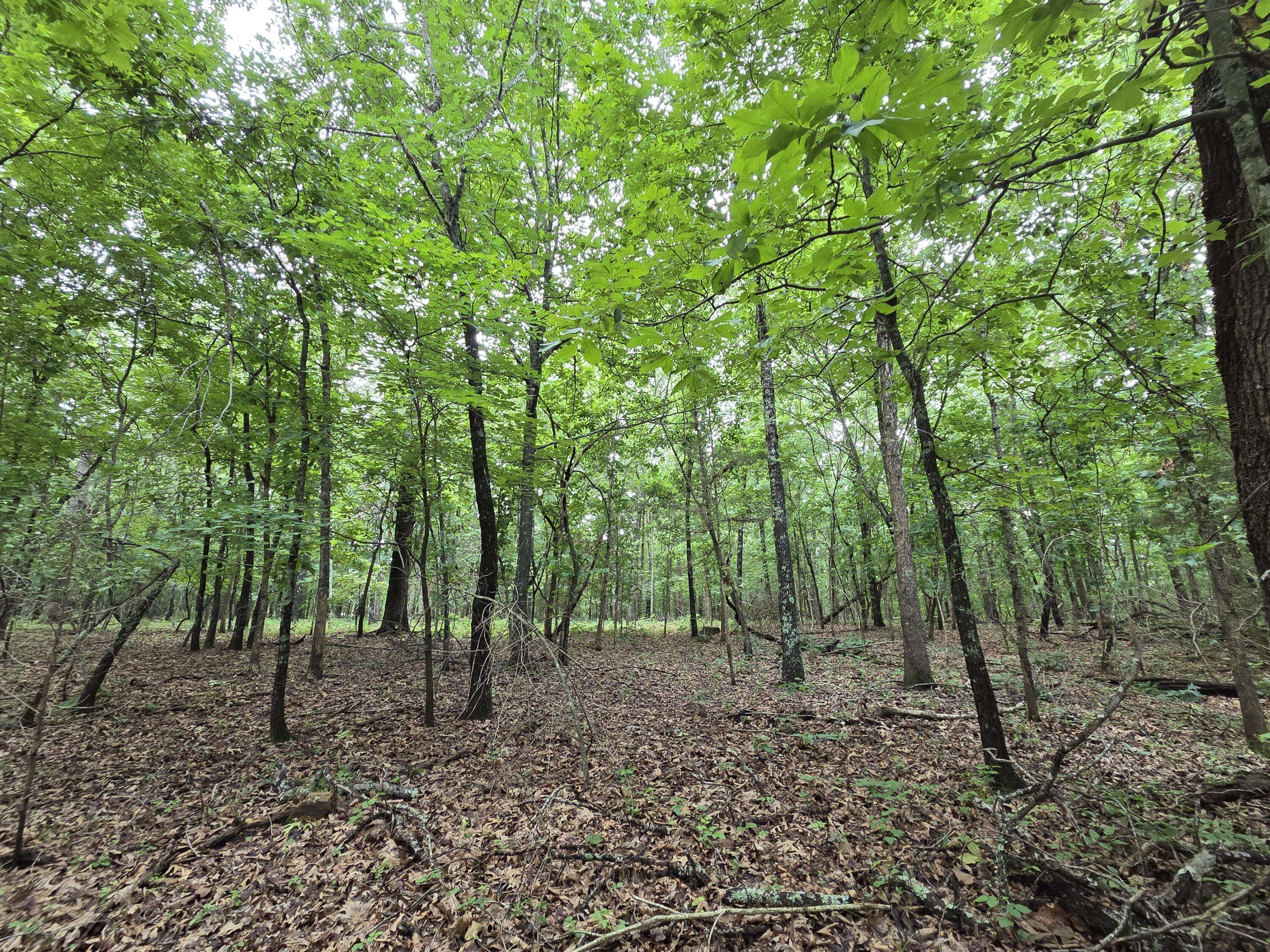 000 Golf Course RD, Marshfield, MO 65706
