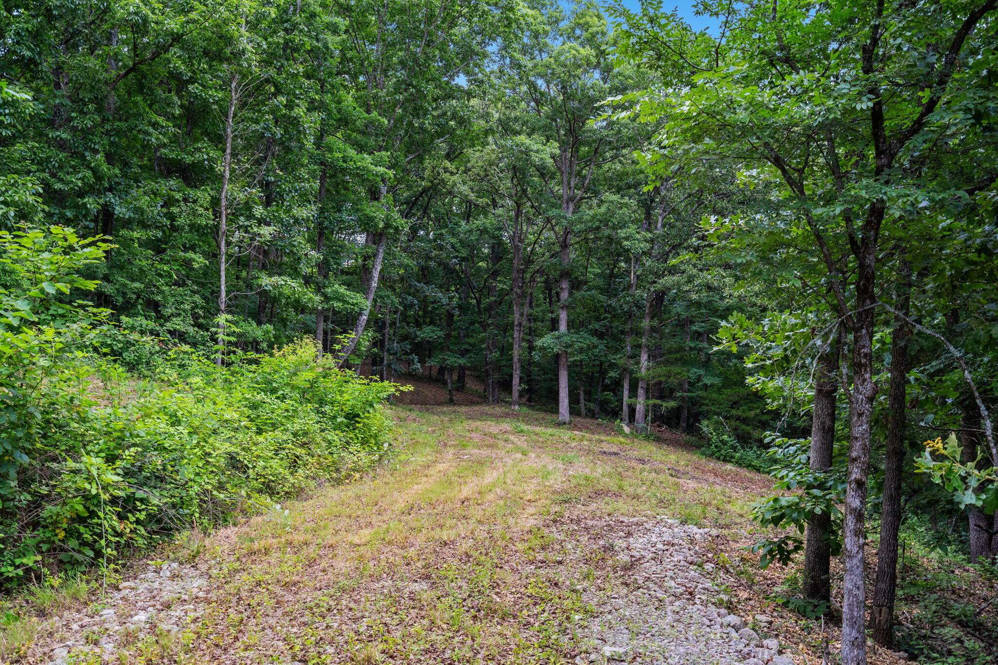 Tbd Deer Mountain RD, Walnut Shade, MO 65771