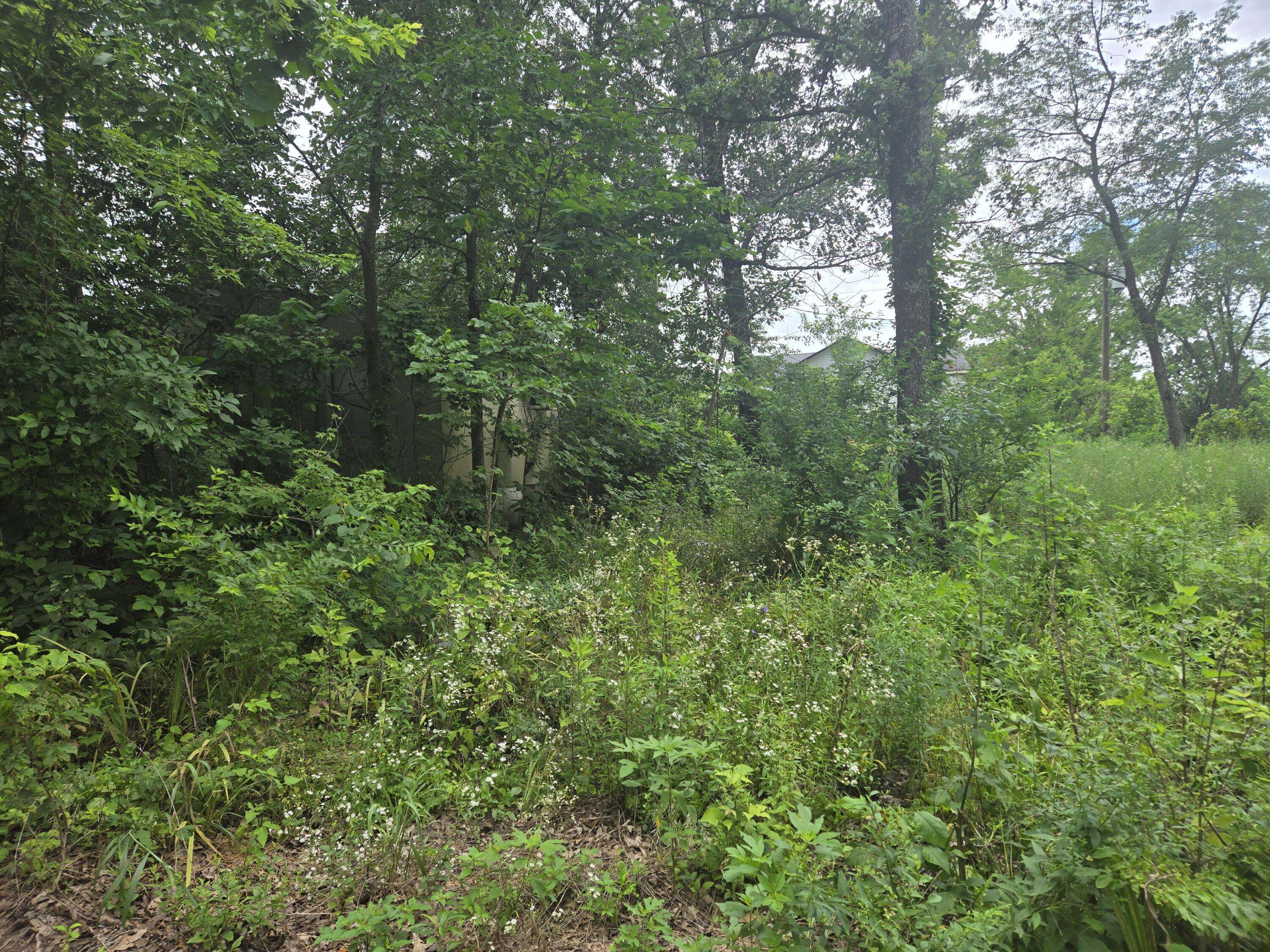 3287 Pomme De Terre CIR, Flemington, MO 65650