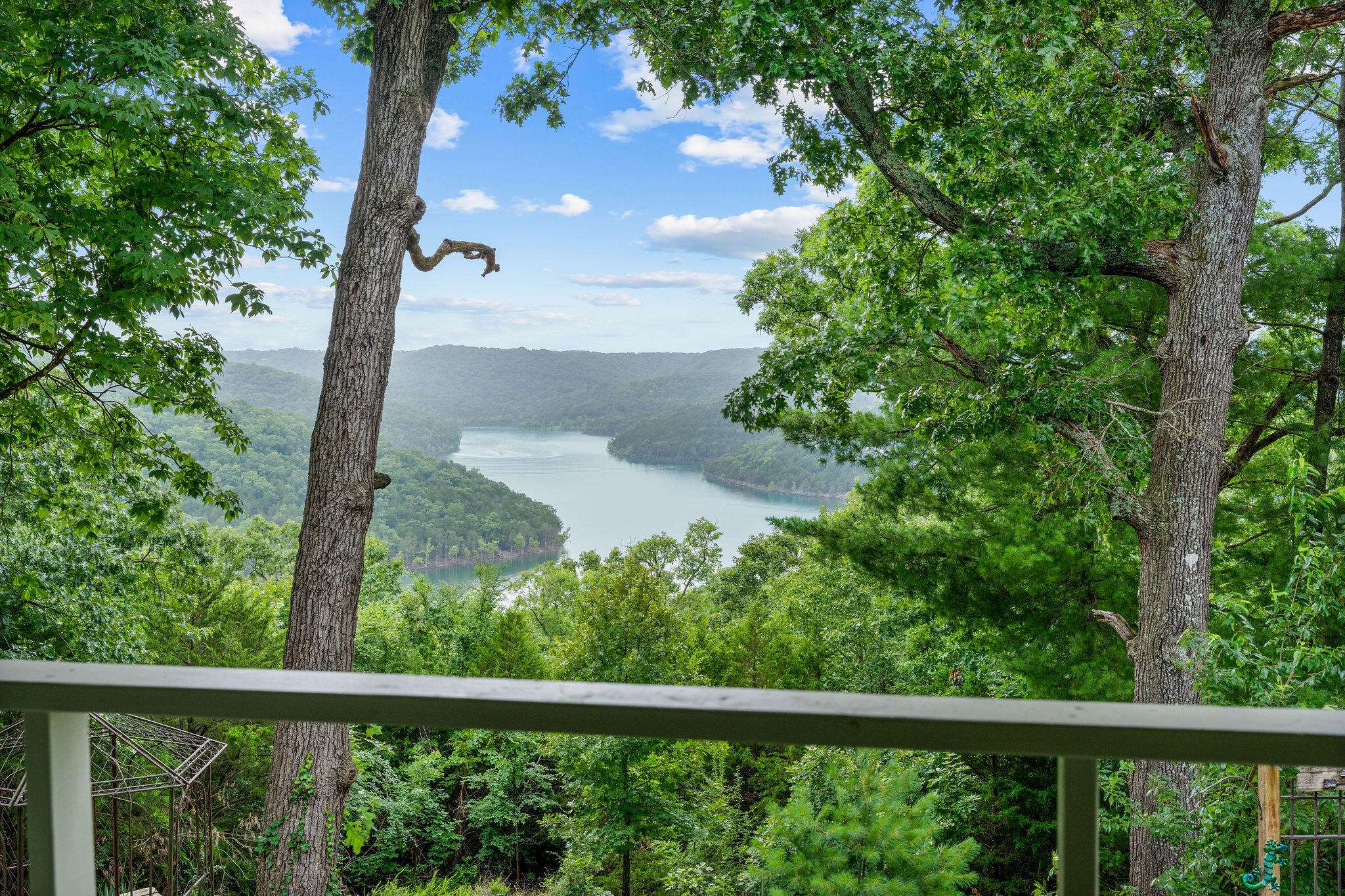 433 Wood Ridge Drive, Blue Eye, MO 65611
