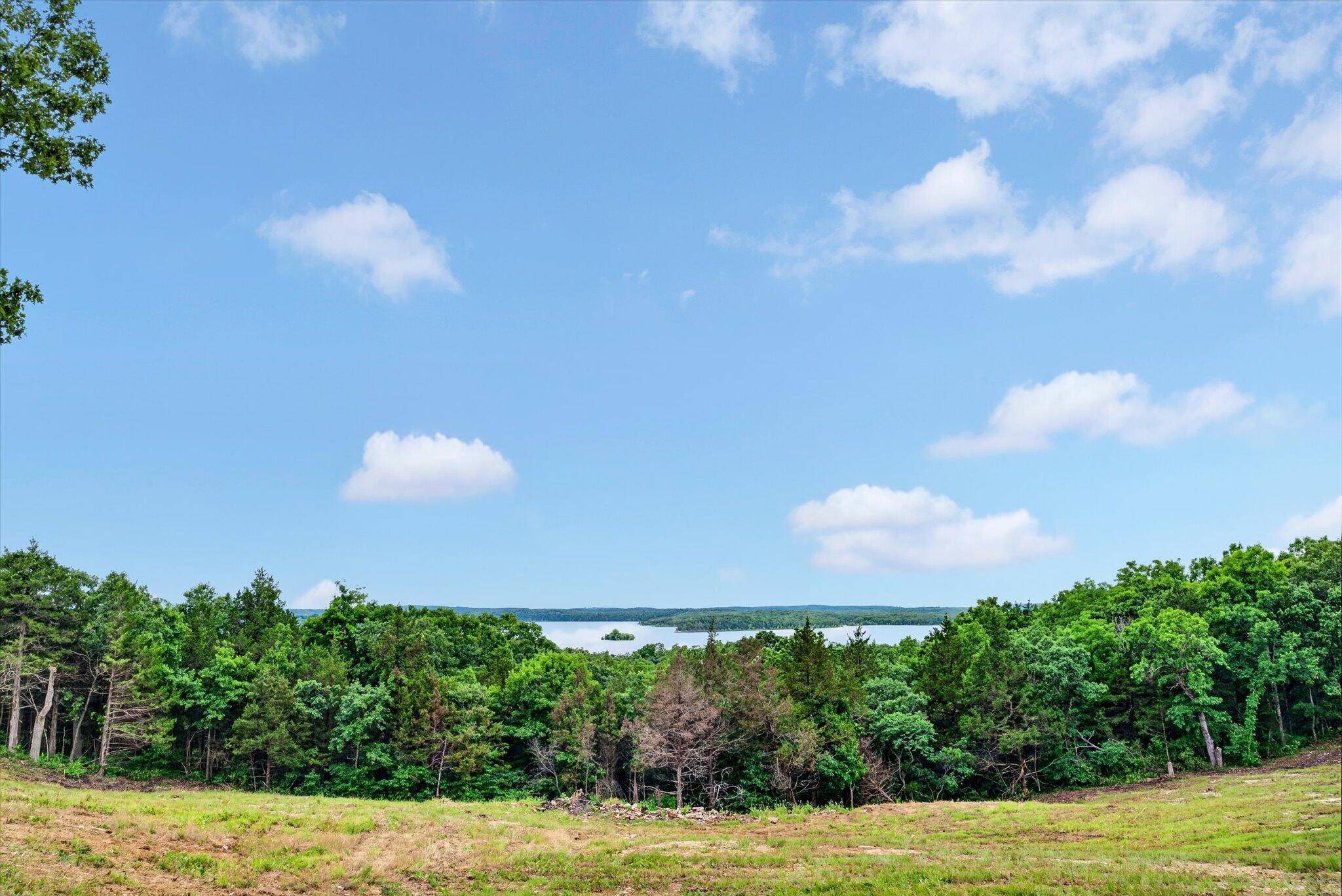 24164 State Highway 254 #Lot 6, Hermitage, MO 65668