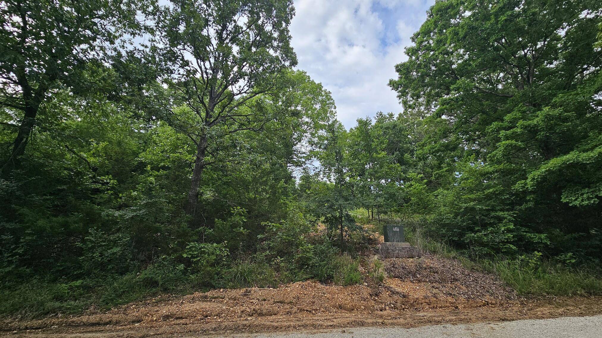 Lot #13 Hanging Branch, Cape Fair, MO 65624