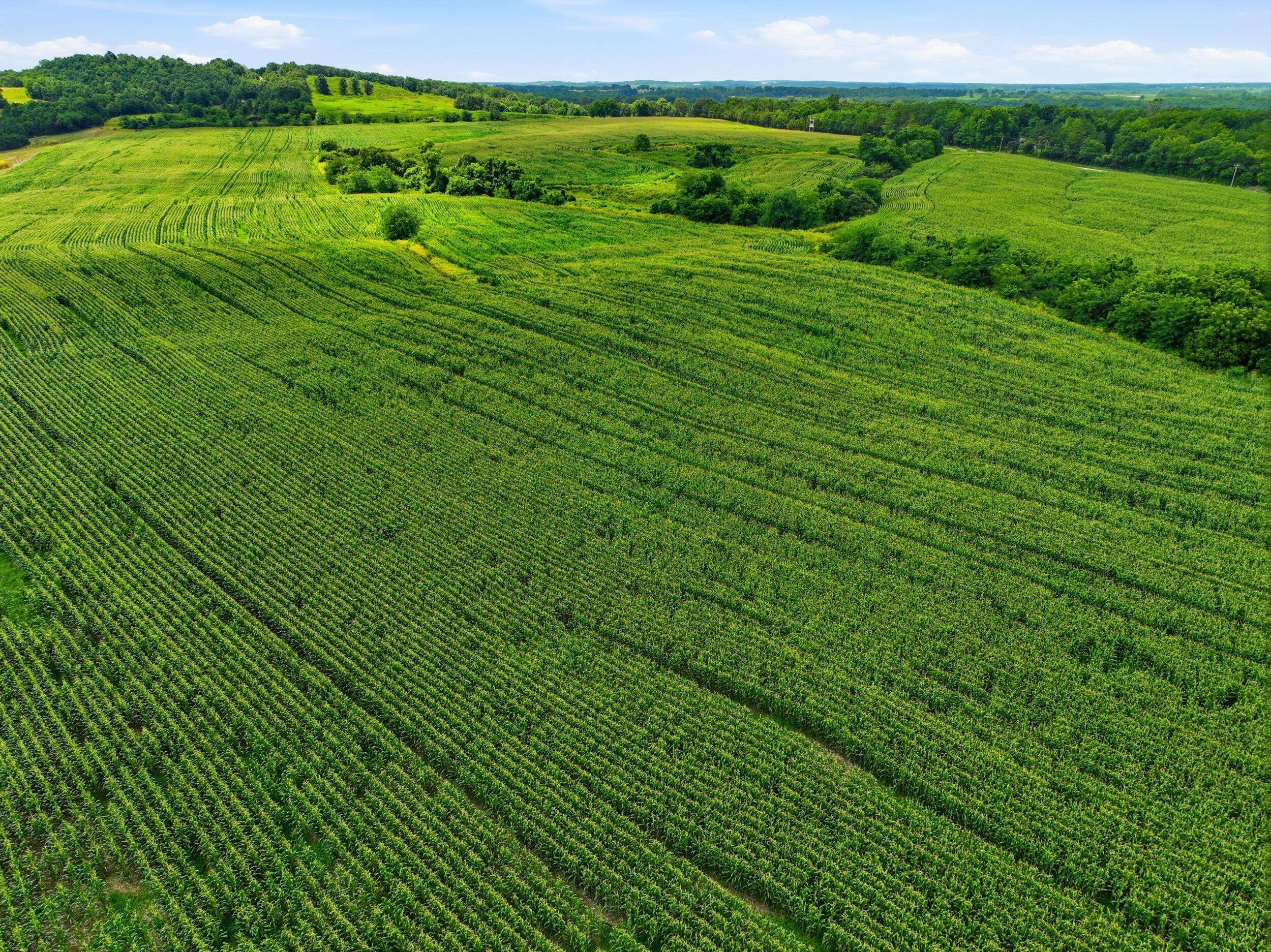 000 Gravel Point RD, Mountain Grove, MO 65711