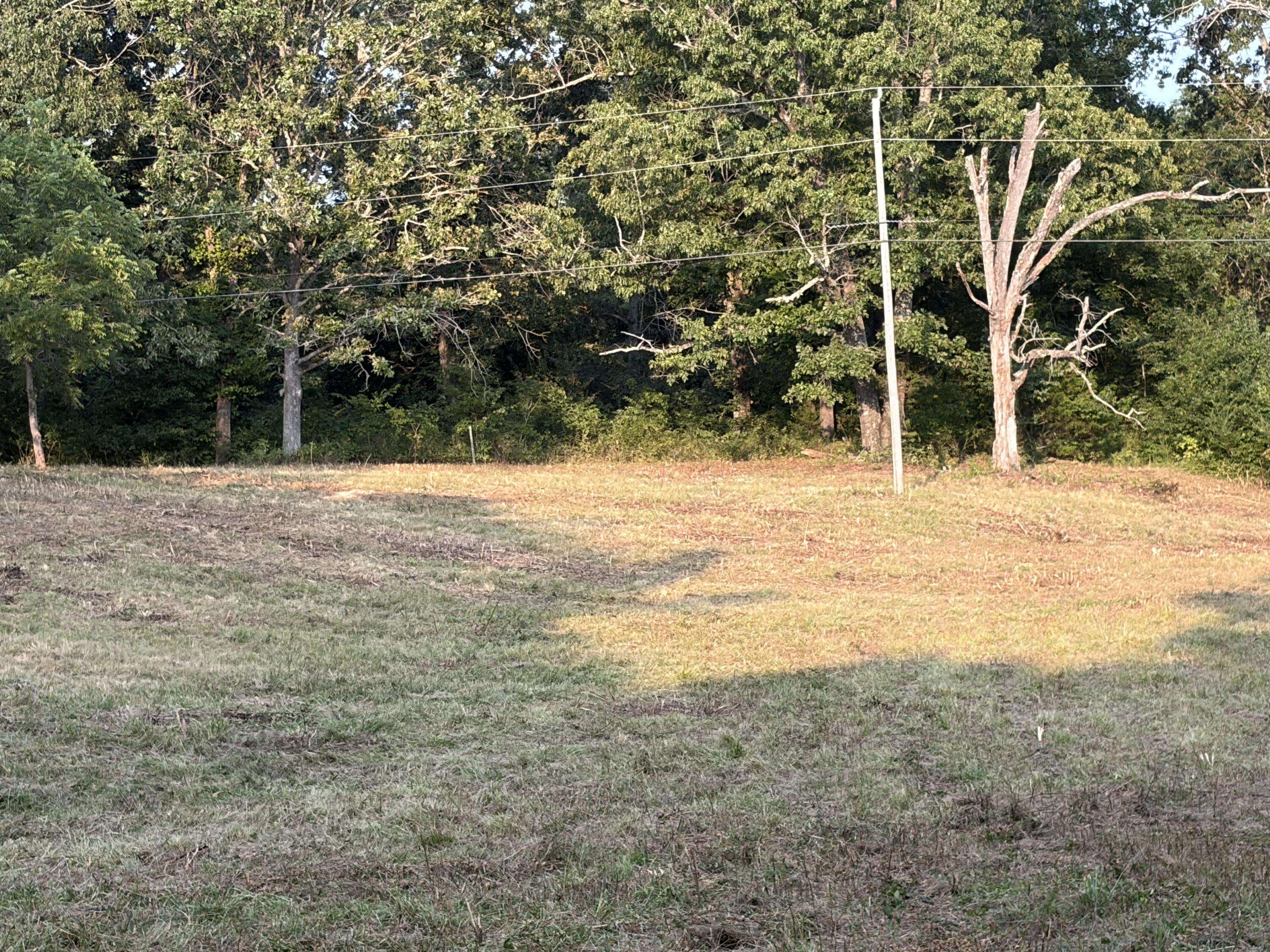 000 County Road 393, Thayer, MO 65791