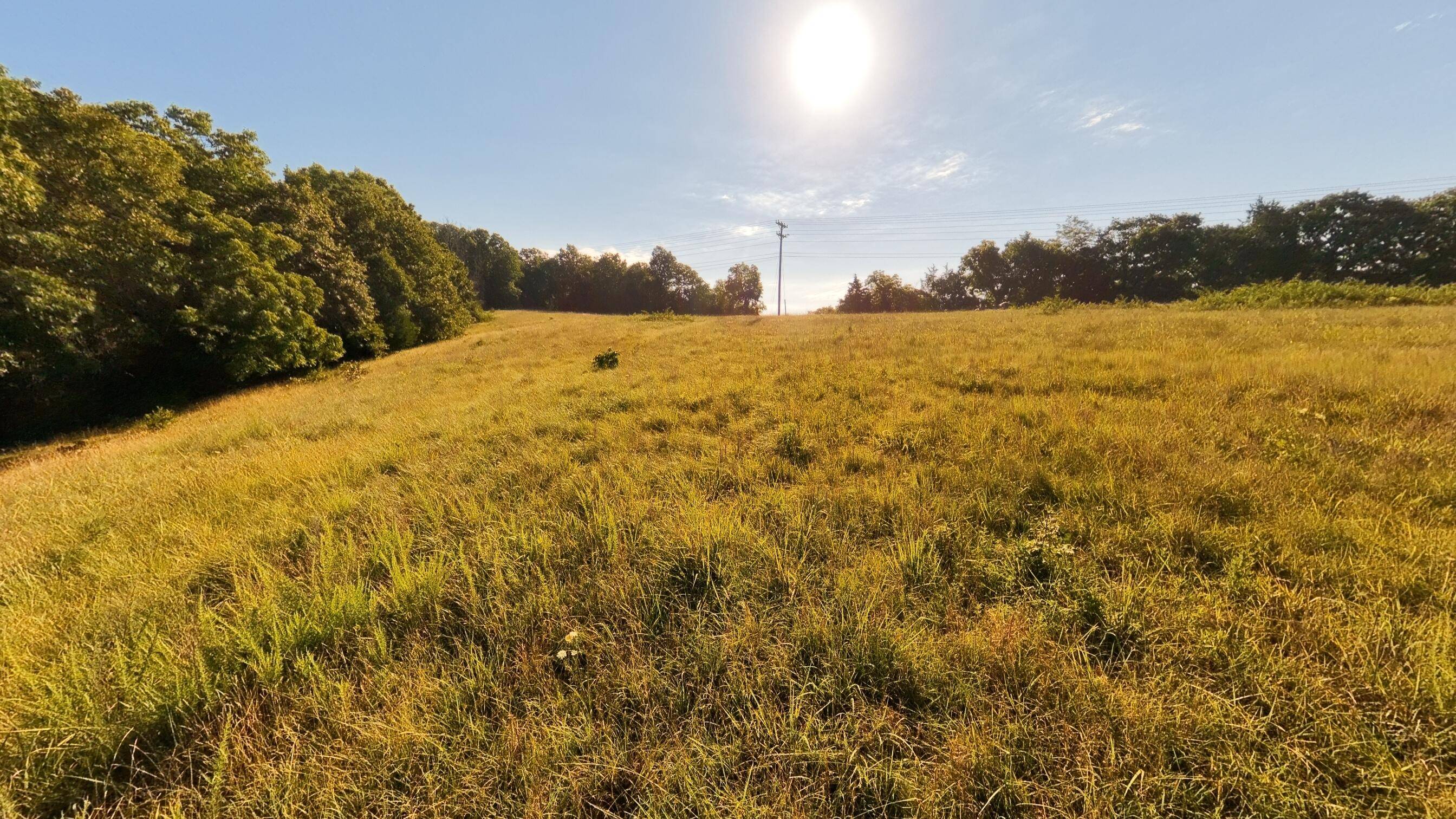 000 Foxden Drive Lot 3, Gainesville, MO 65655