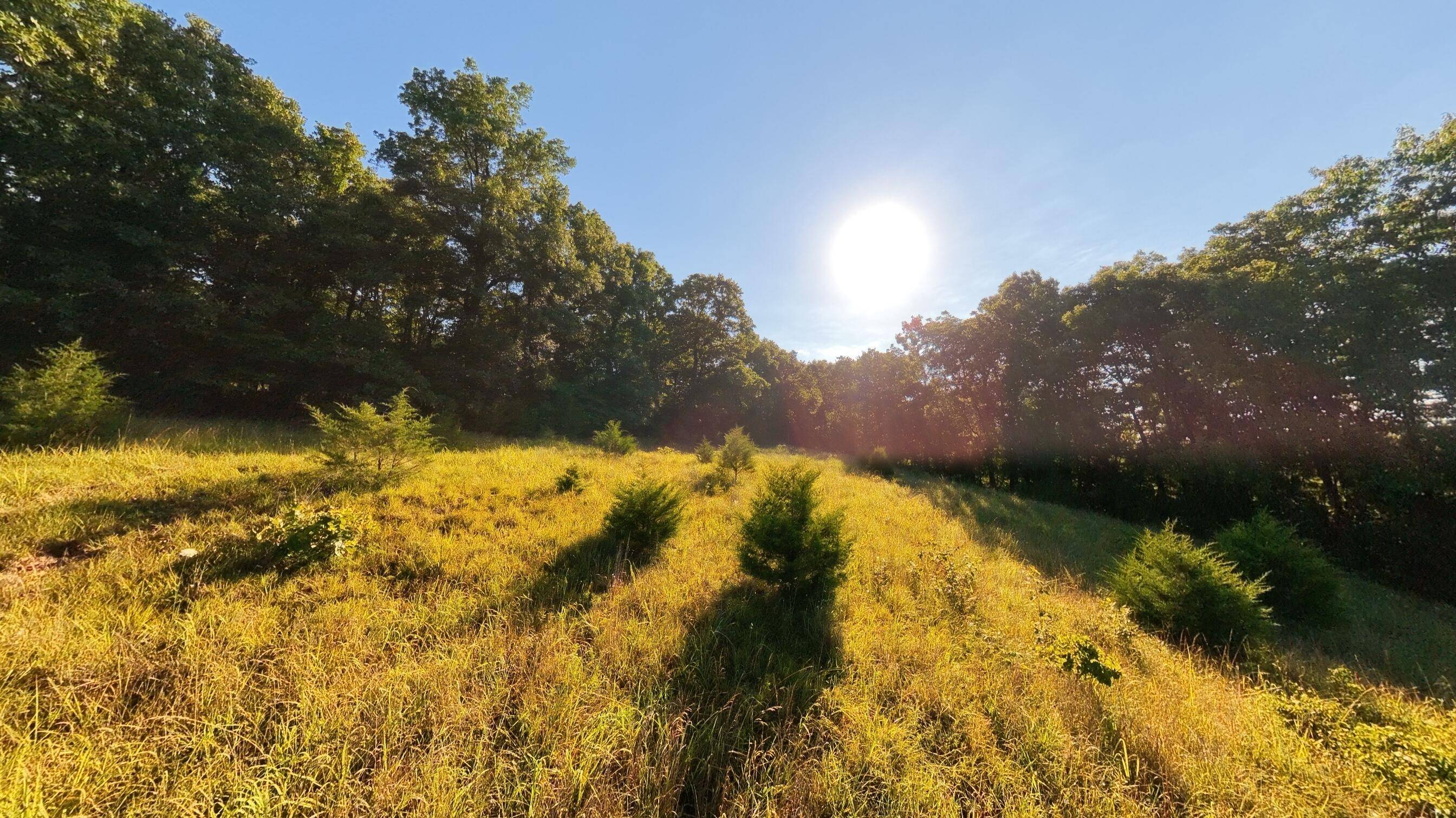 000 Foxden Drive Lot 4, Gainesville, MO 65655