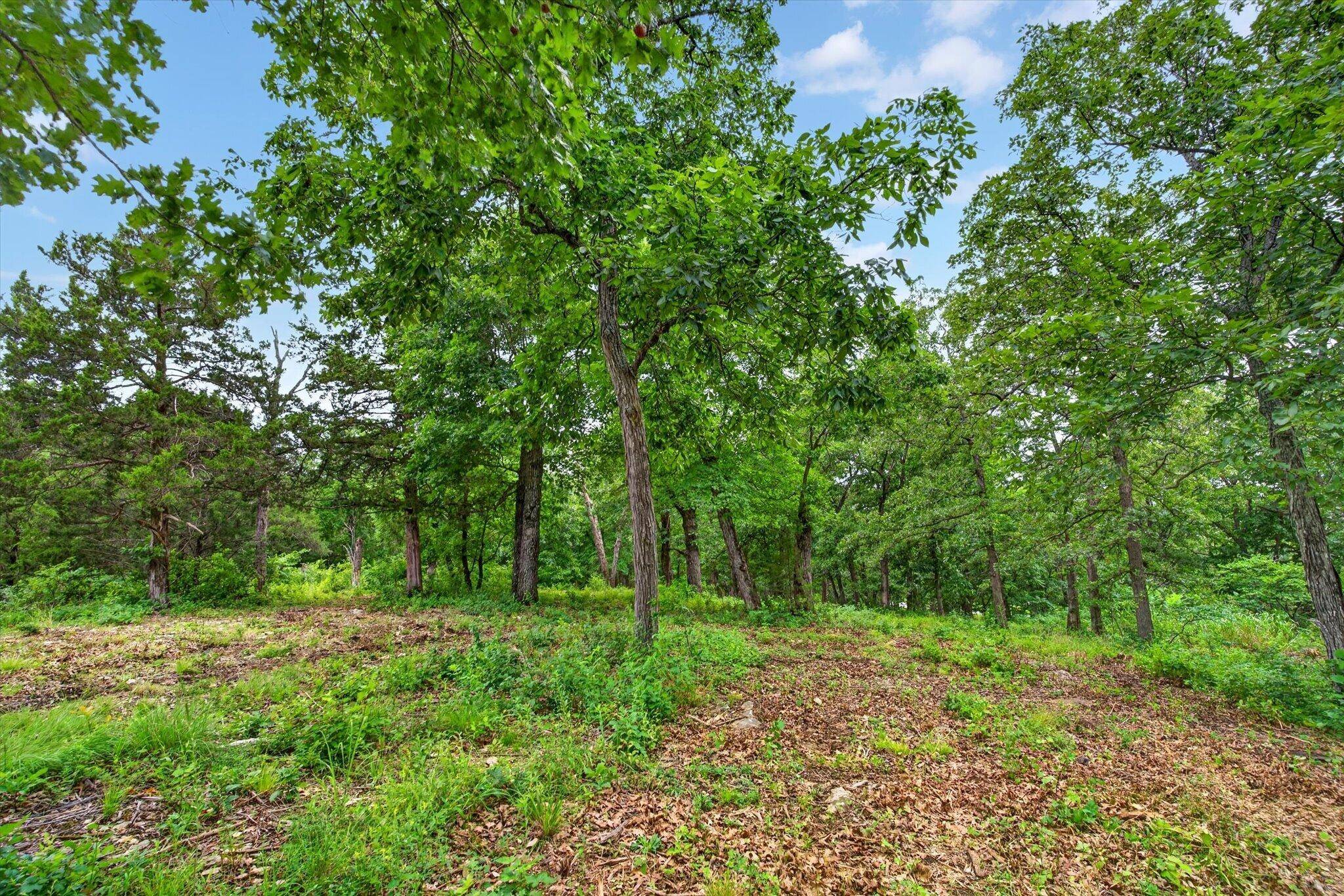 24164 State Highway 254, Hermitage, MO 65668
