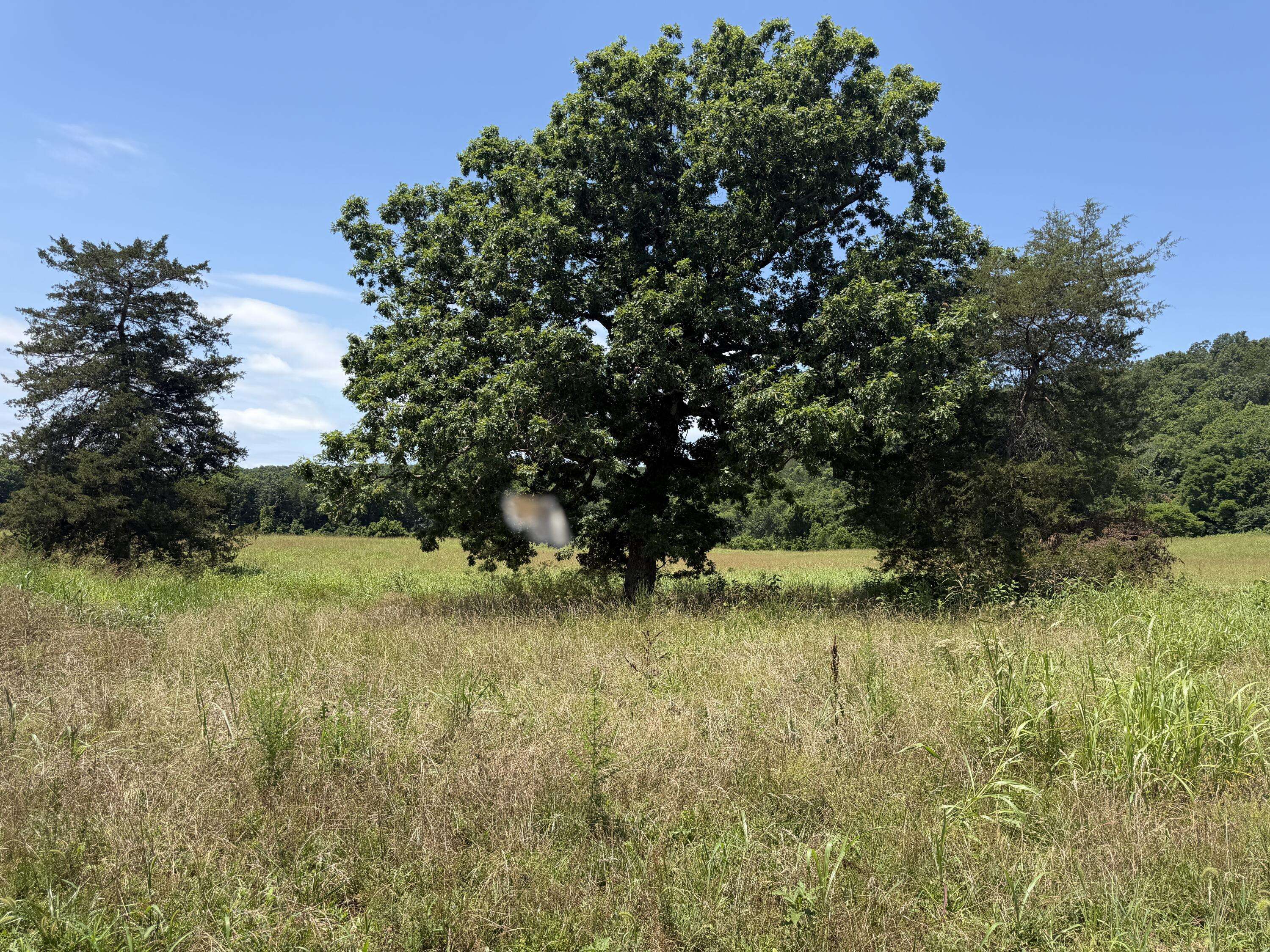 000 Northfork Village ST #Lot 2, Tecumseh, MO 65760