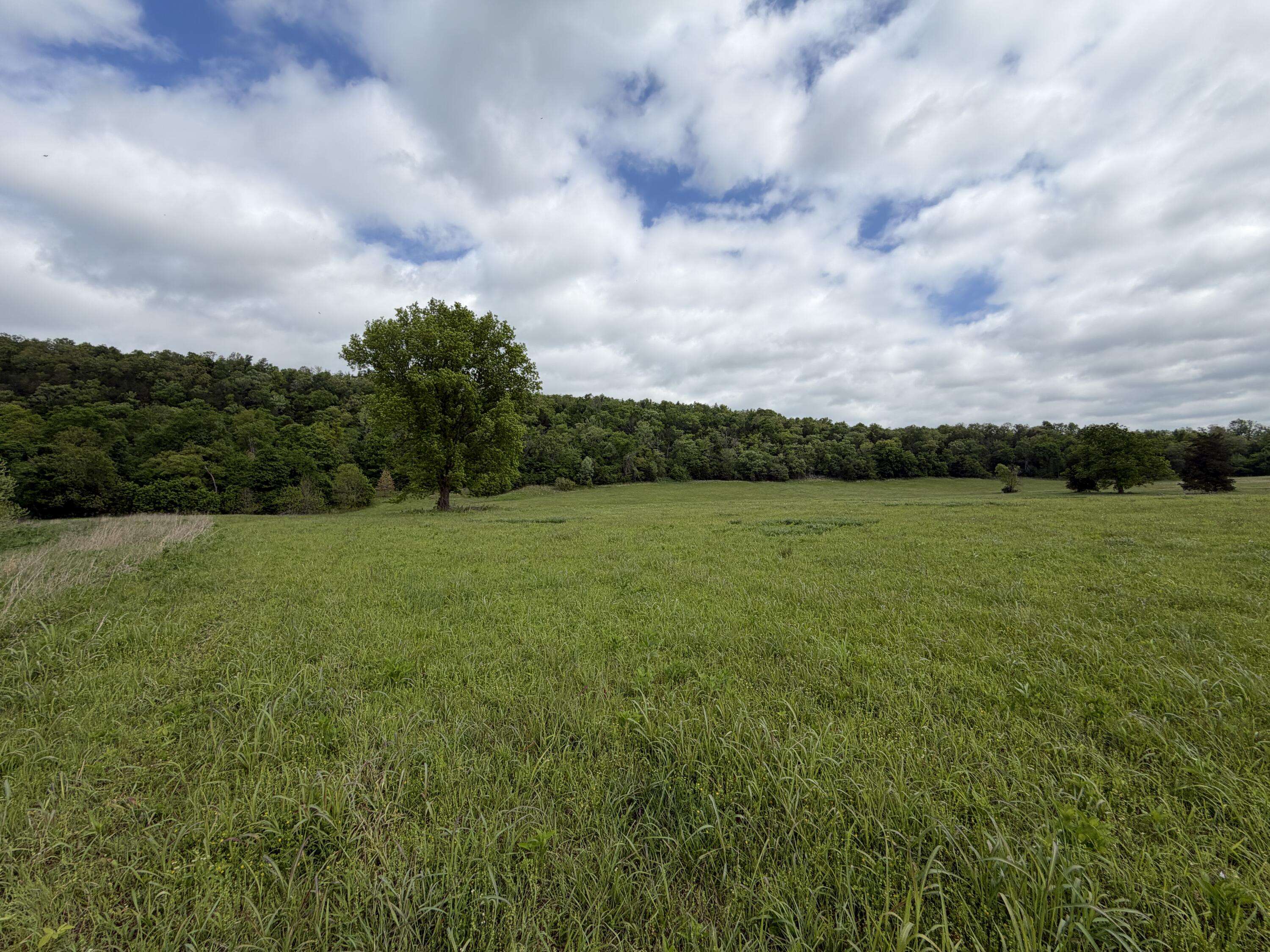 000 Northfork Village ST #Lot 2, Tecumseh, MO 65760