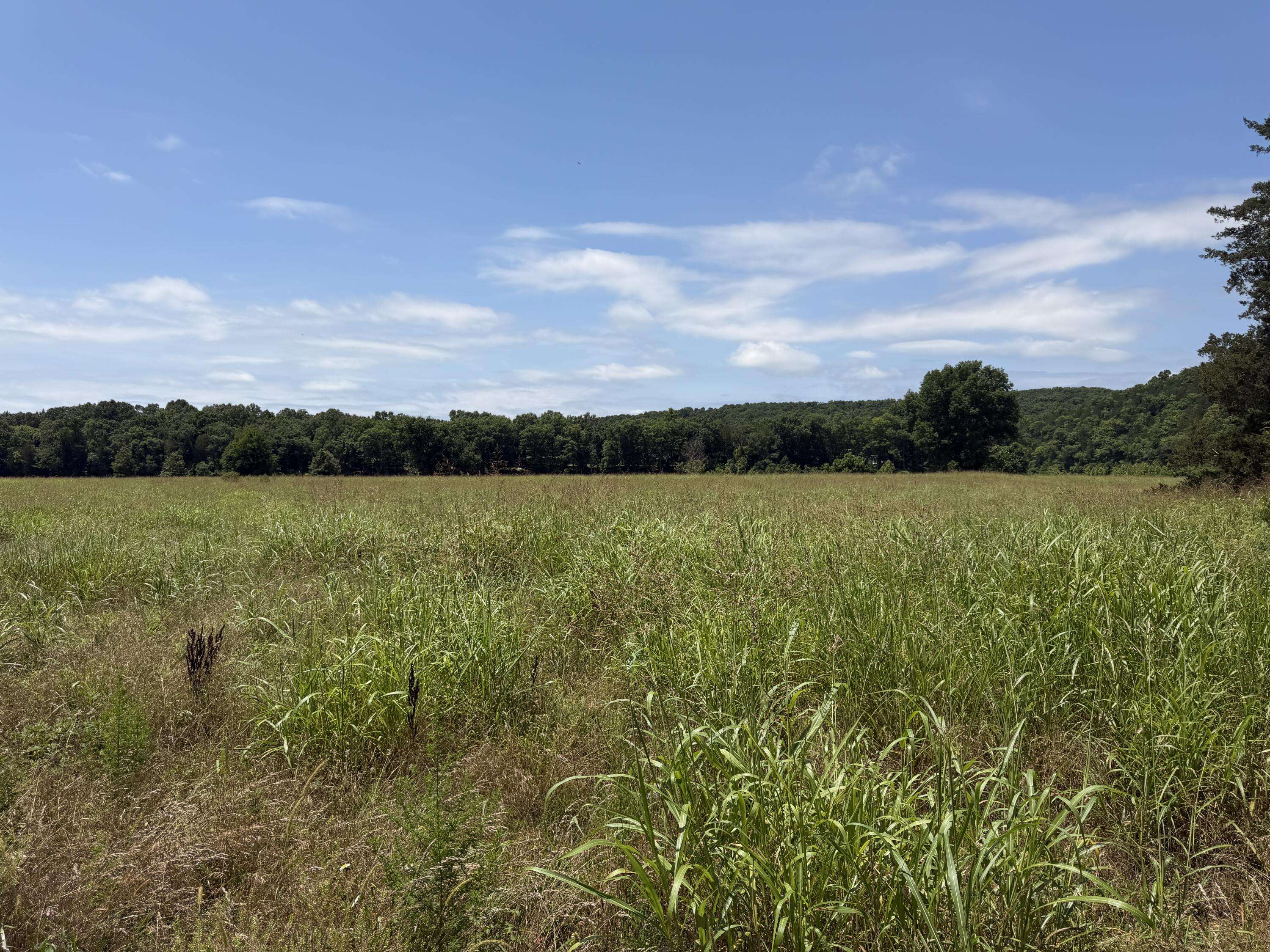 000 Northfork Village ST #Lot 3, Tecumseh, MO 65760