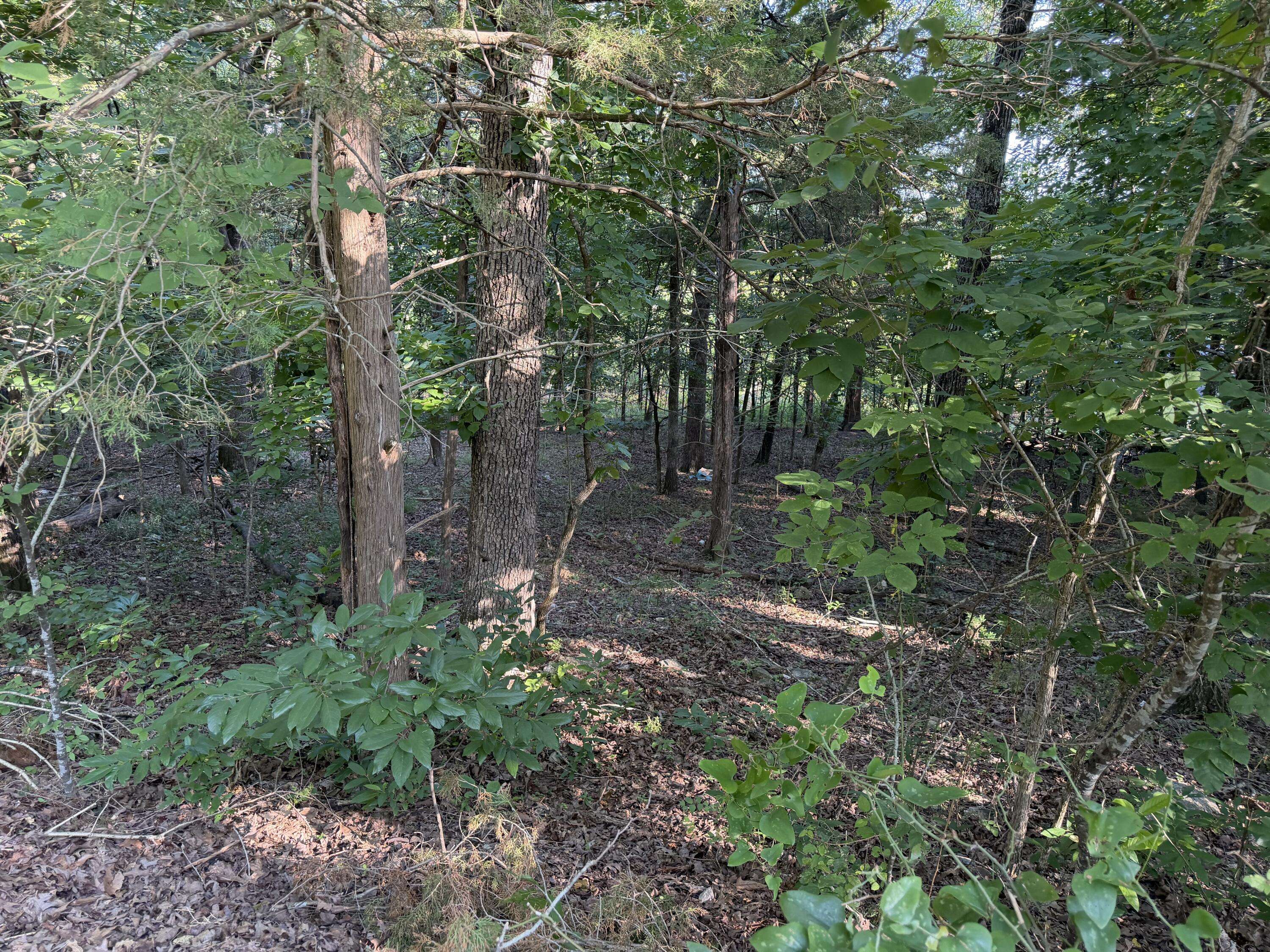 000 Cedar LN, Rockaway Beach, MO 65740
