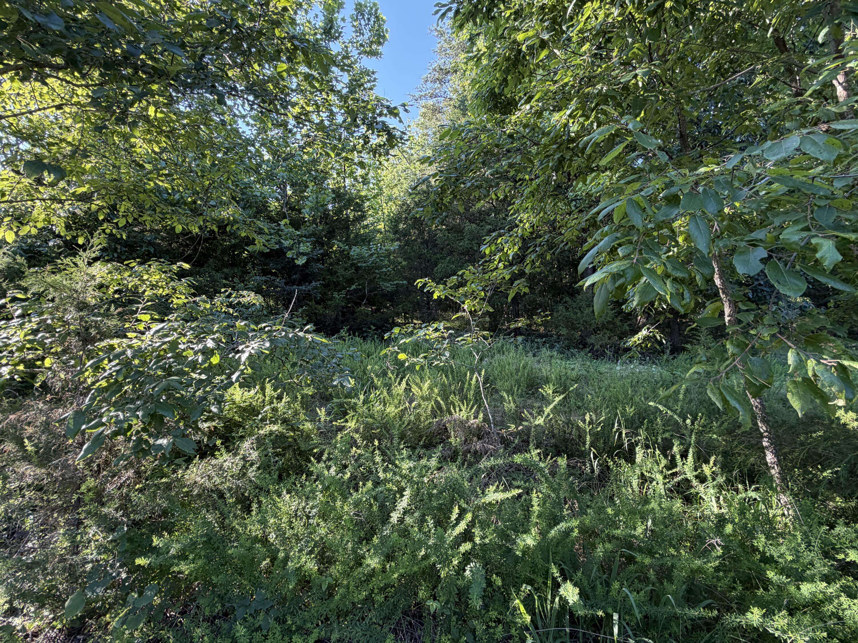 000 Wallace DR, Rockaway Beach, MO 65740