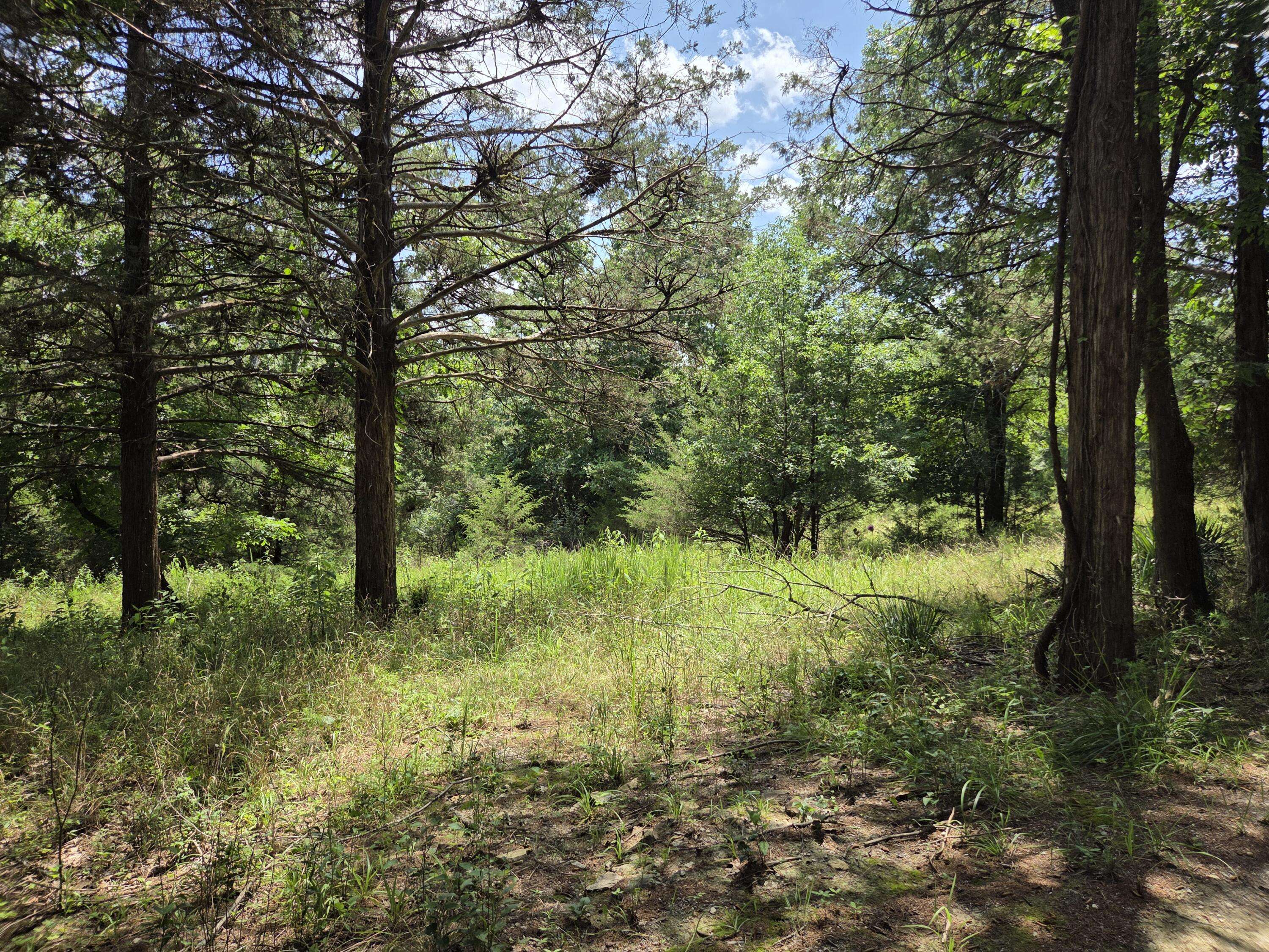 Tbd Green Briar DR, Branson, MO 65616