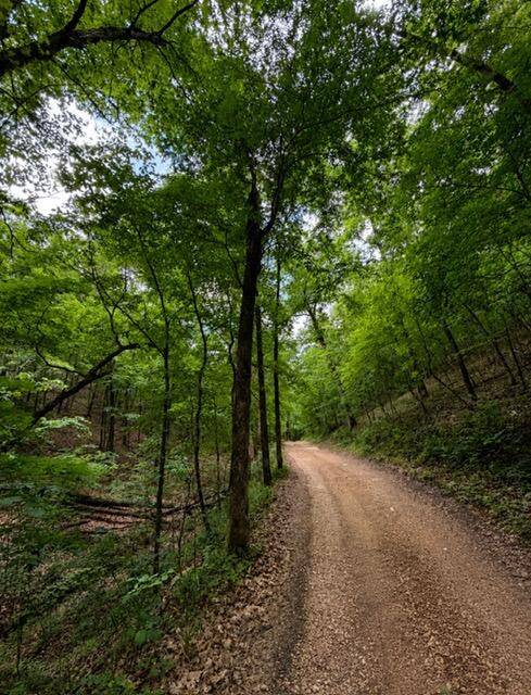 000 Oak Thicket LN, Galena, MO 65656