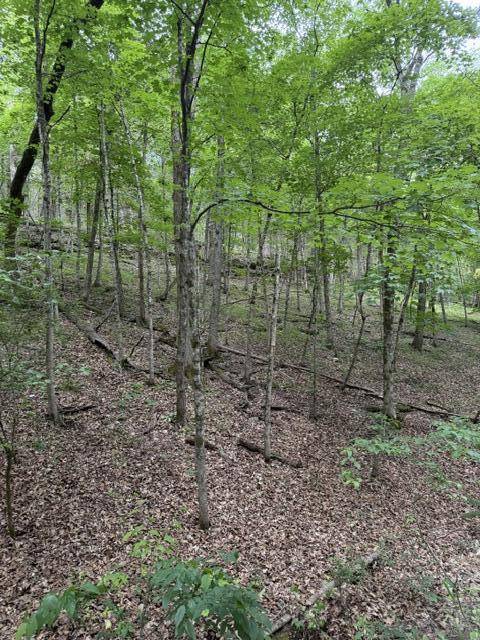 000 Oak Thicket LN, Galena, MO 65656