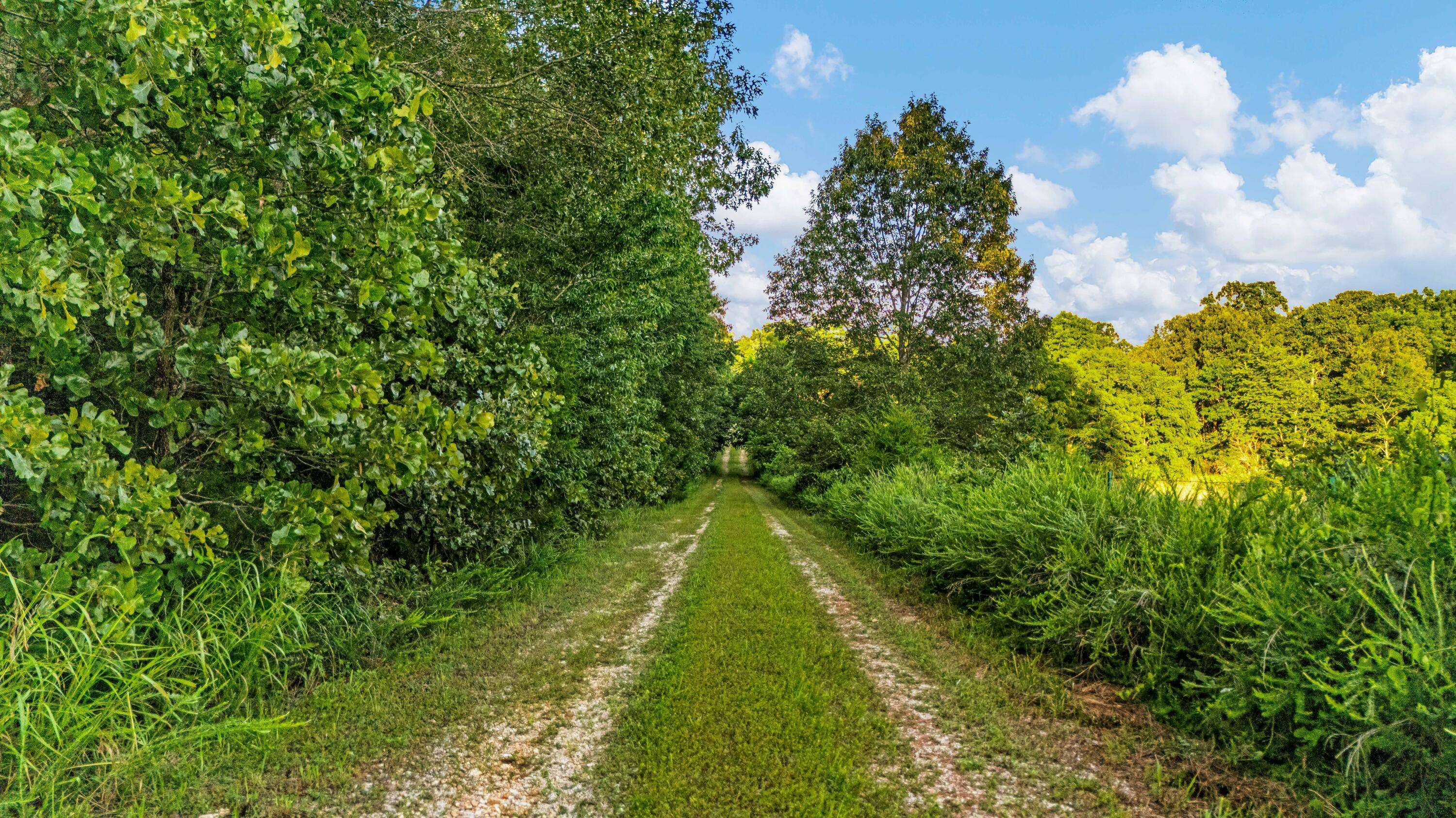 9593 County Road 9660, Koshkonong, MO 65692