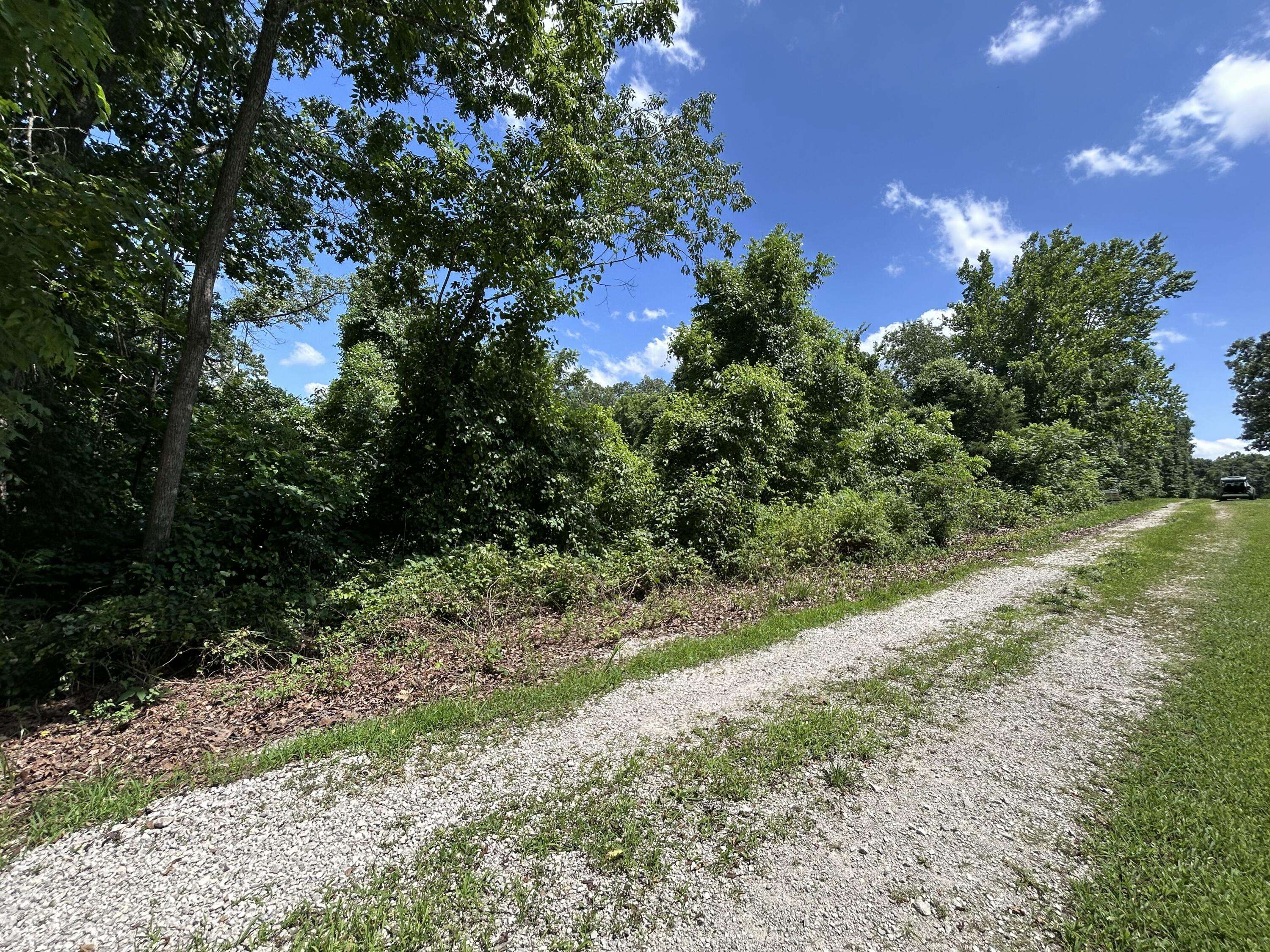 000 Mcdonald PL #Tract 2 Quail Trails, Shell Knob, MO 65747