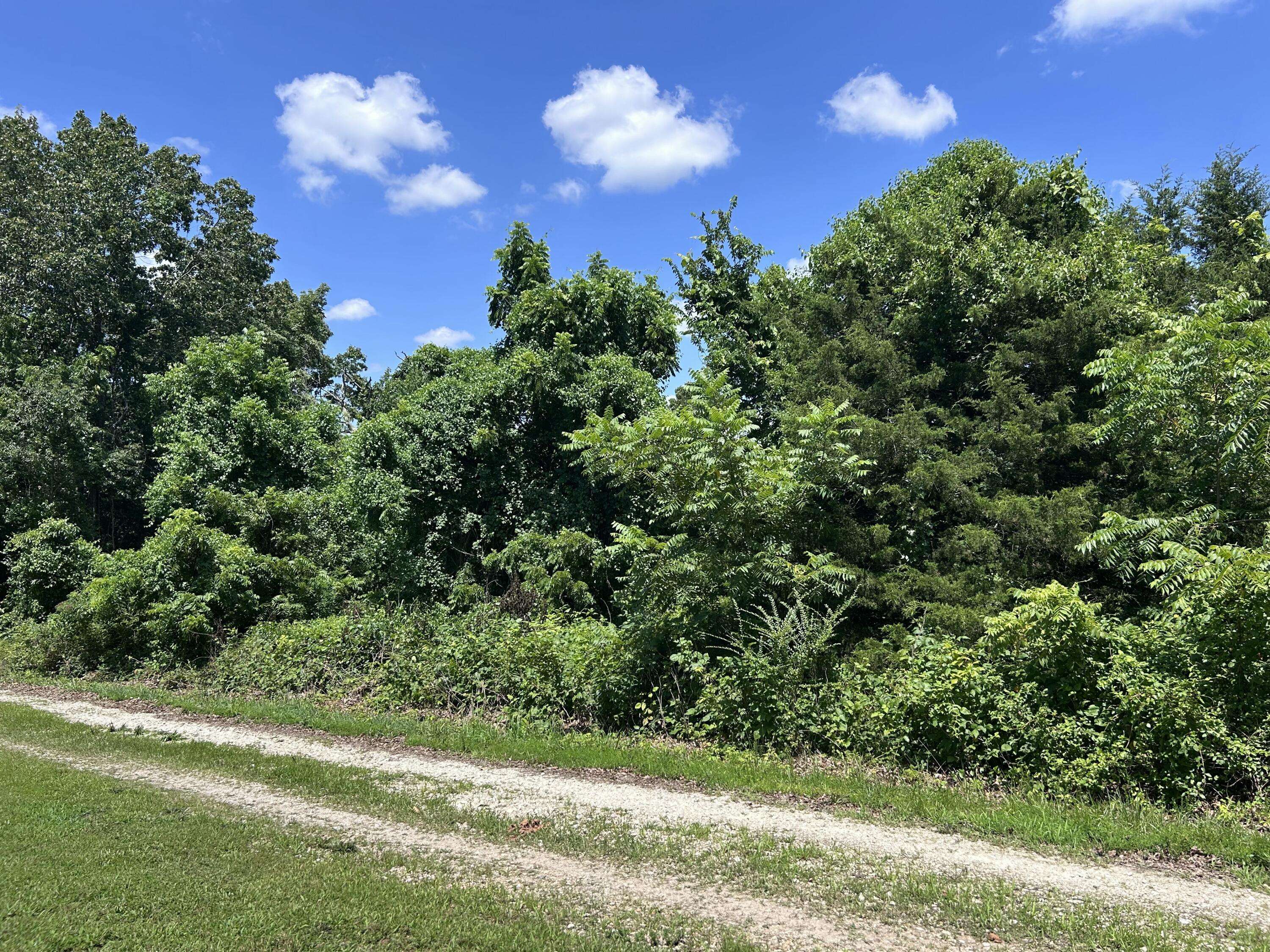 000 Mcdonald PL #Tract 2 Quail Trails, Shell Knob, MO 65747