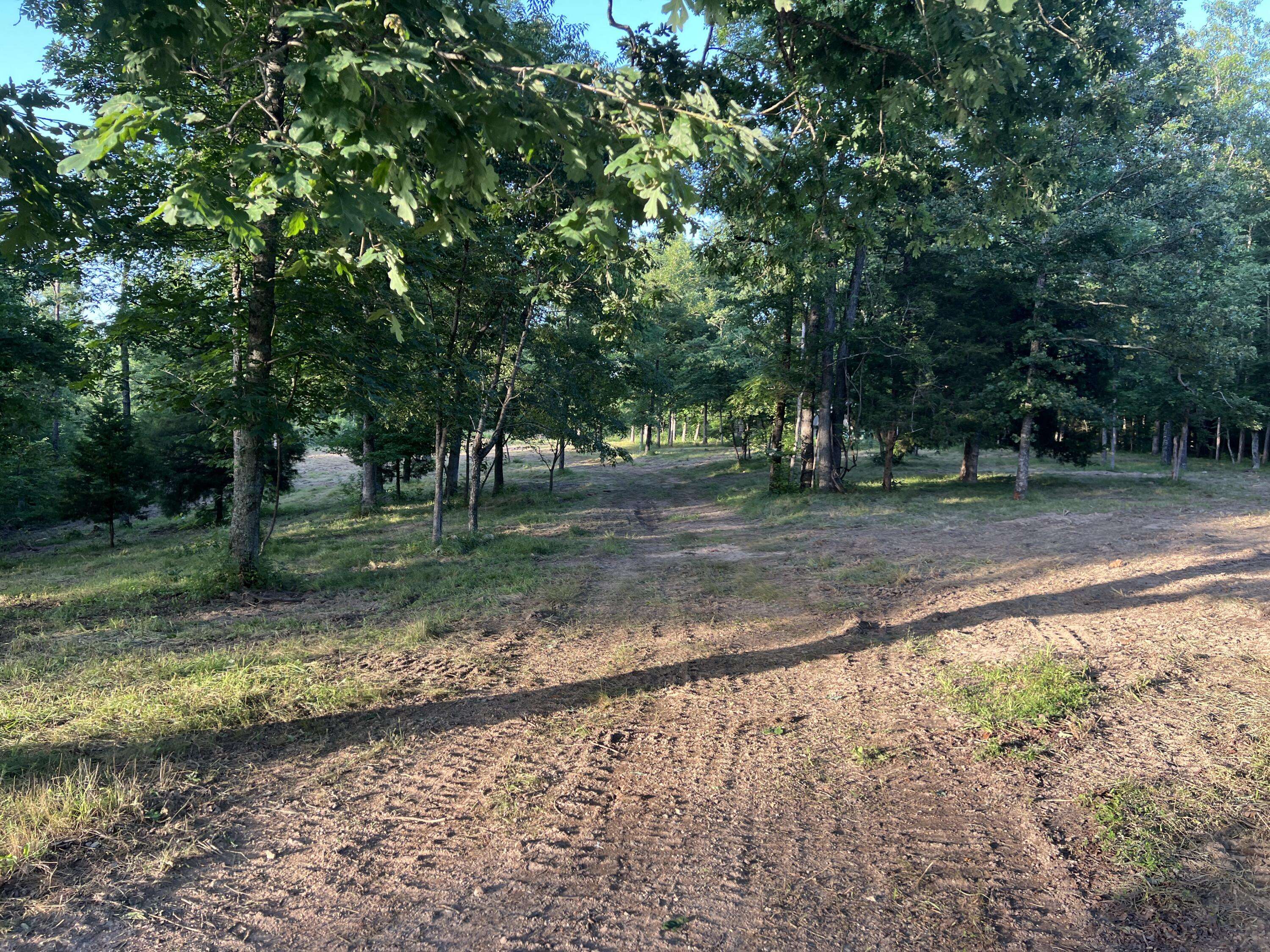 000 S 95 Lot 26 HWY, Ava, MO 65608