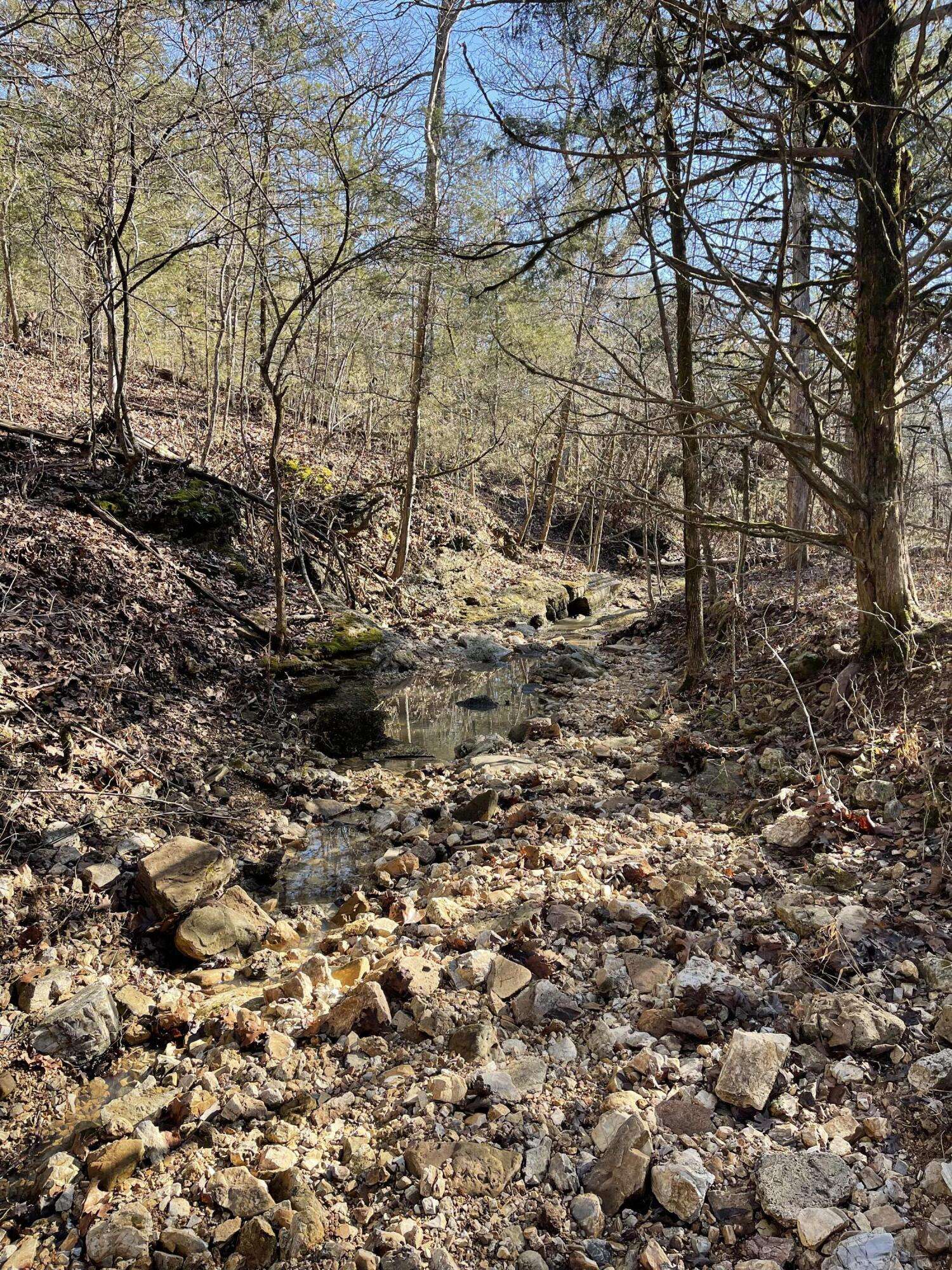 000 Us Hwy 160 #Parcels A, B, C, Gainesville, MO 65655