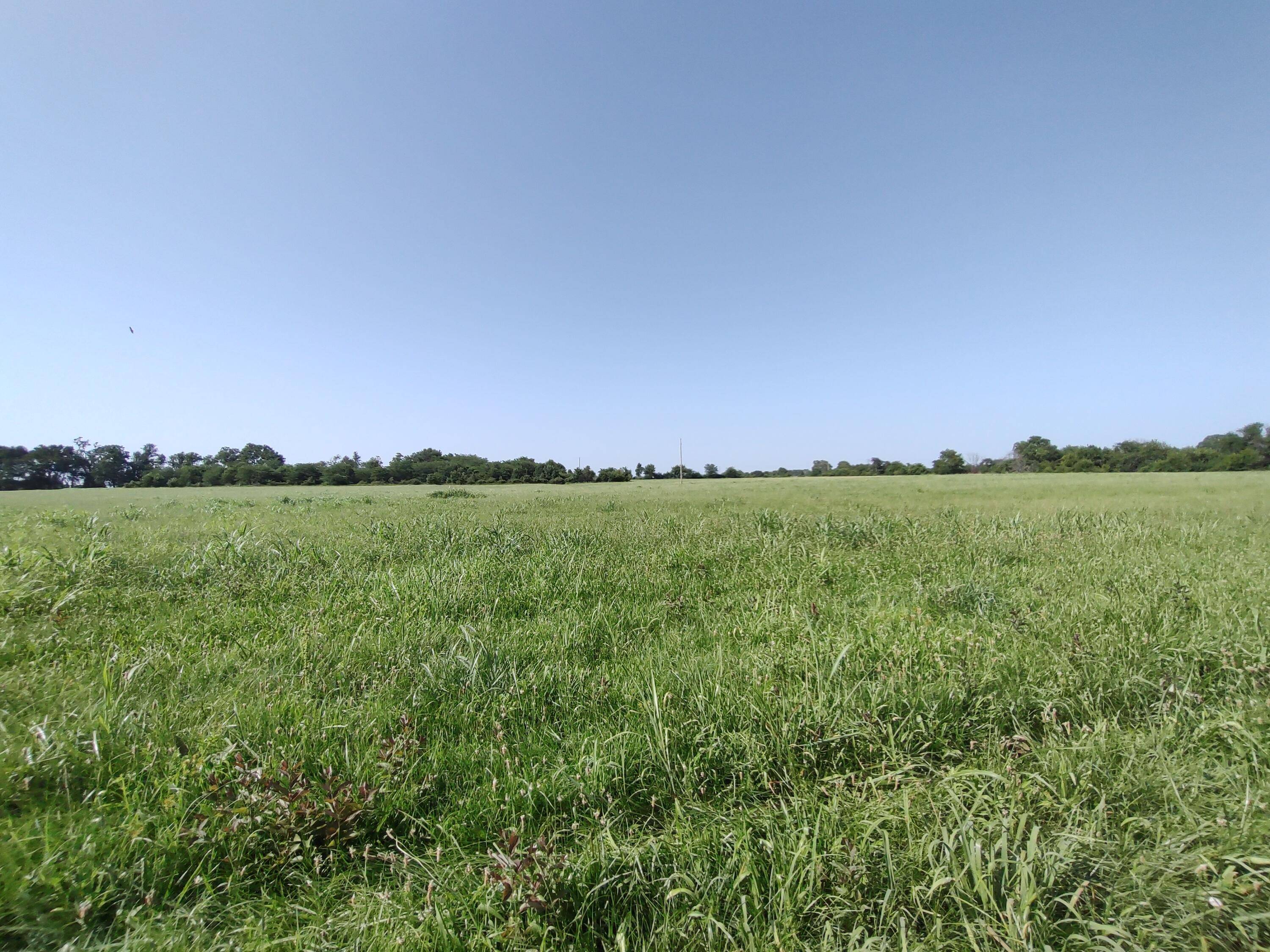 000 E Prairie LN, Bolivar, MO 65613