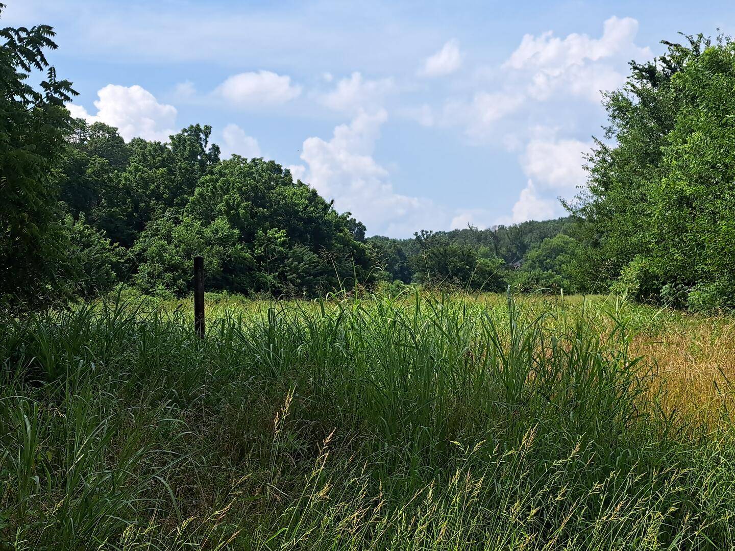 000 Little Mill RD, Granby, MO 64844